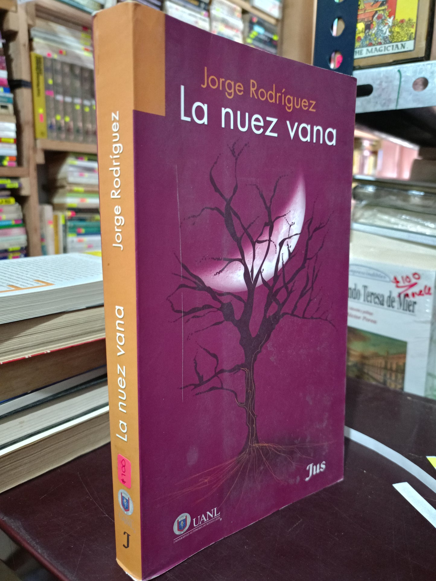 LA NUEZ VANA POR JORGE RODRÍGUEZ USADO NOVELA LITERARIO 305