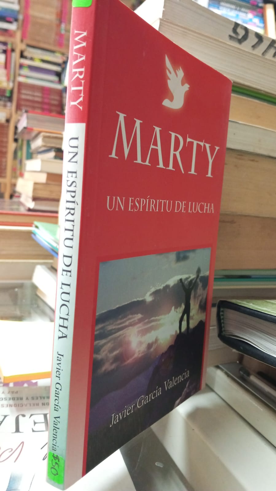 MARTY UN ESPIRITU DE LUCHA DE JAVIER GARCIA VALENCIA USADO SUPERACION PERSONAL JUAREZ 507