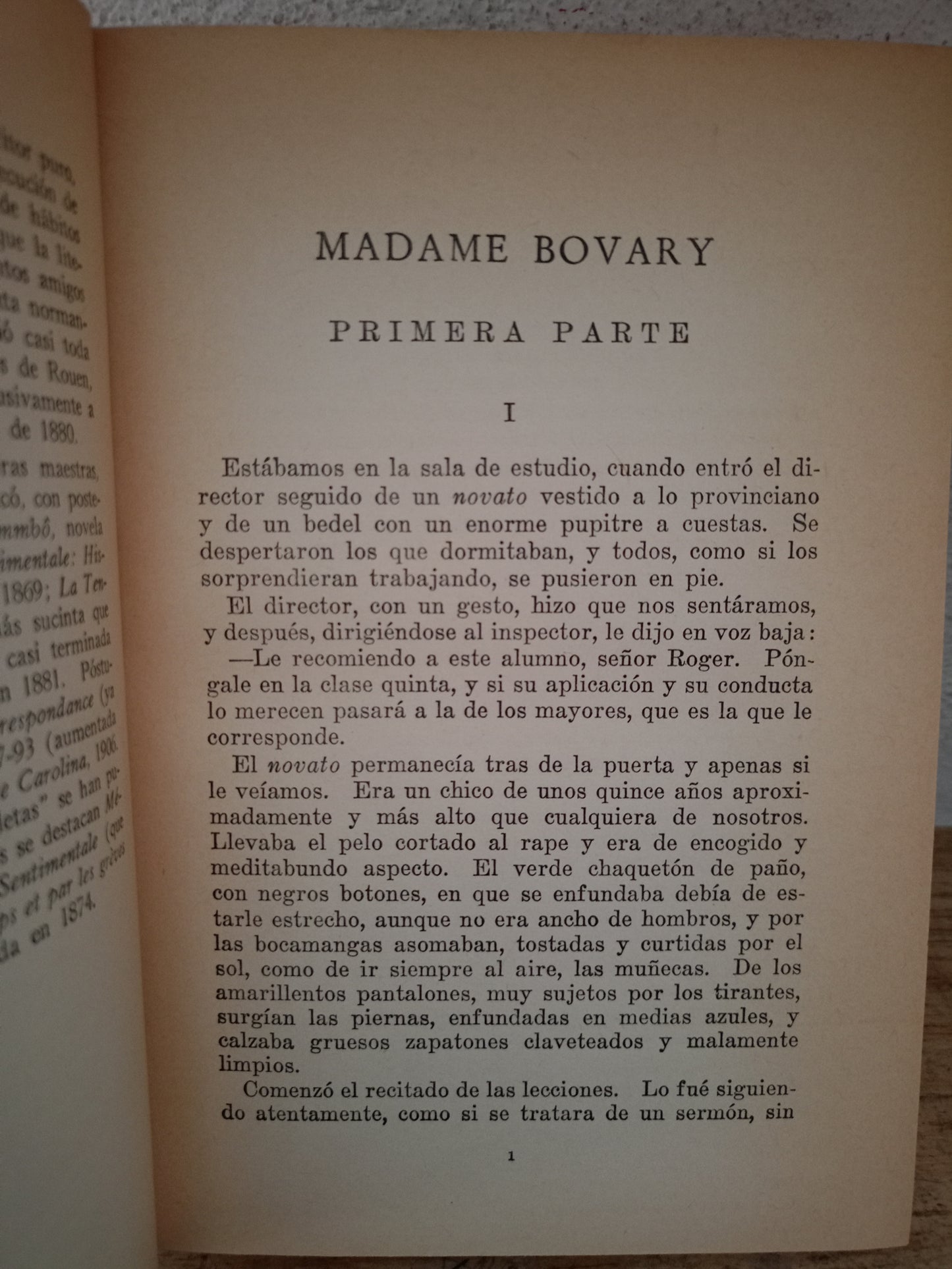 MADAME BOVARY POR GUSTAVO FLAUBERT USADO NOVELA LITERARIO 305