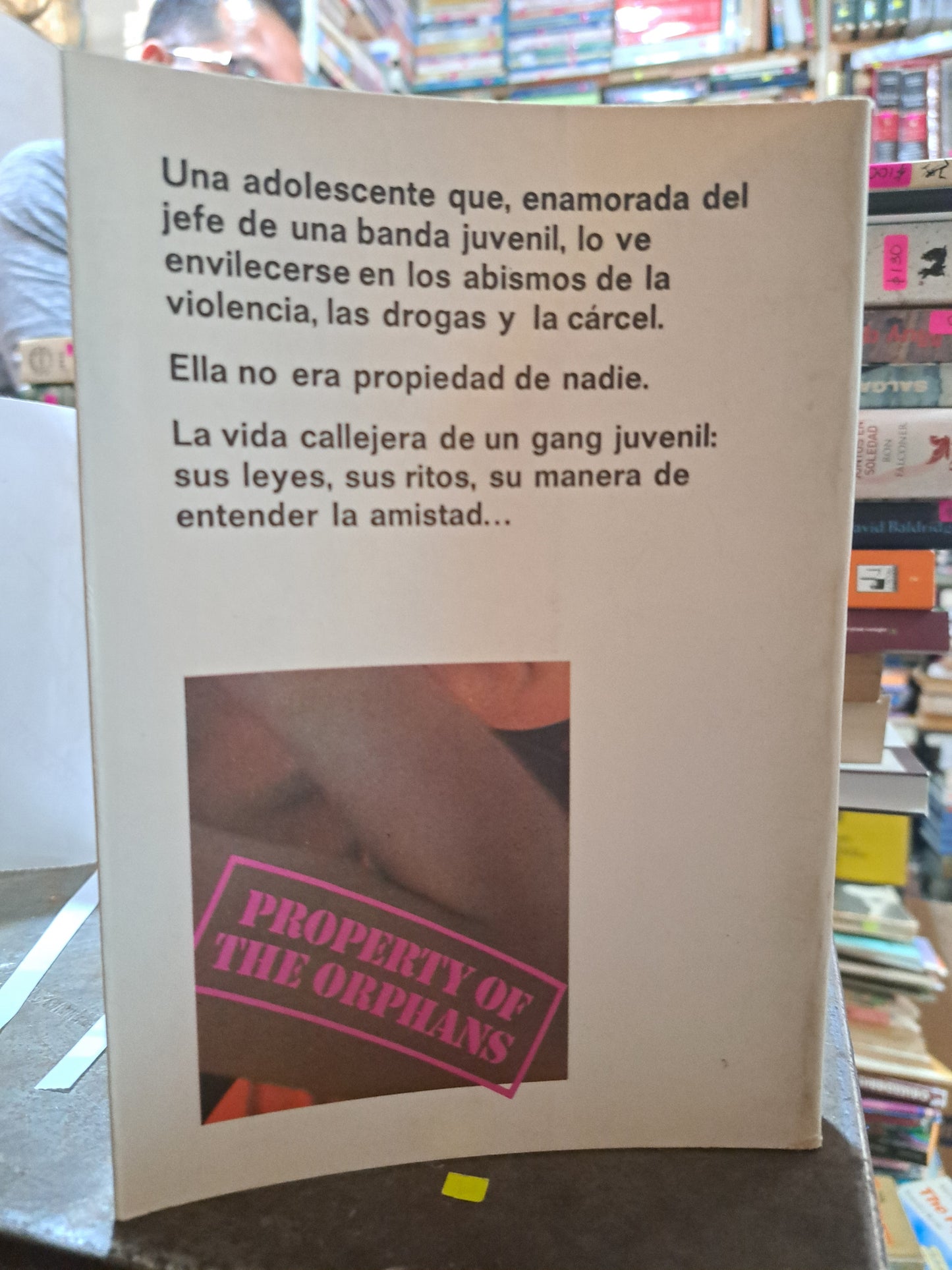 PROPIEDAD DE ALICE HOFFMAN USADO NOVELA ALDAMA