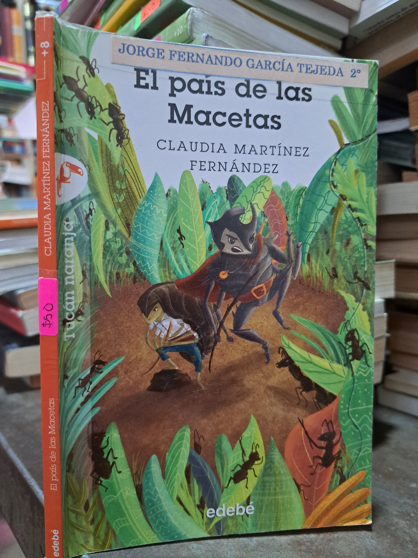 EL PAÍS DE LAS MACETAS CLAUDIA MARTÍNEZ FERNÁNDEZ USADO INFANTIL ALDAMA