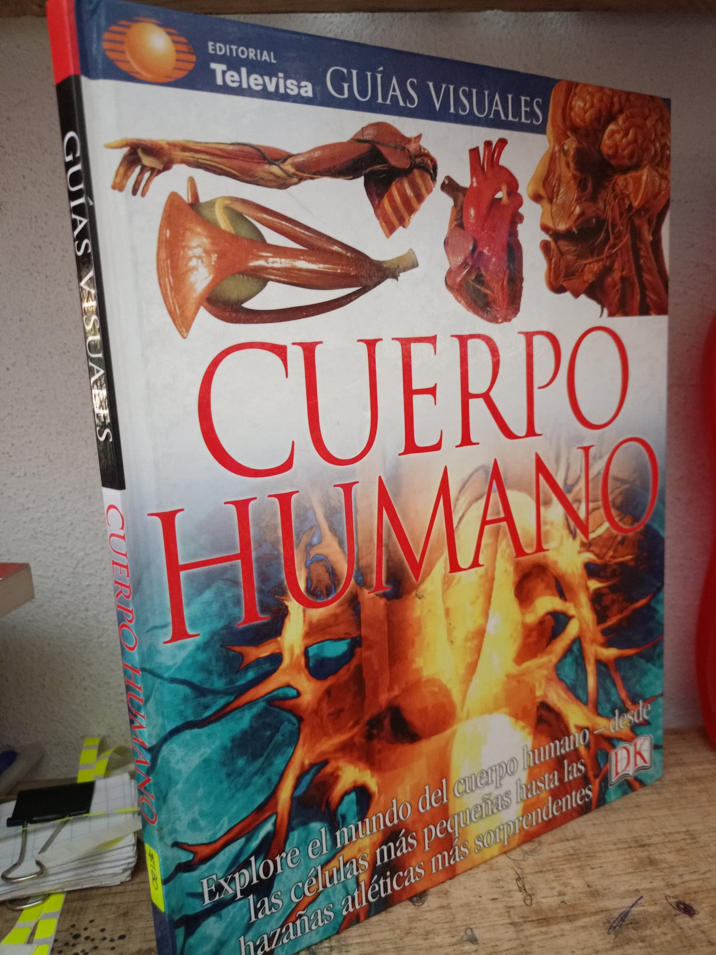 GUIAS VISUALES CUERPO HUMANO USADO INFANTIL LITERARIO 305