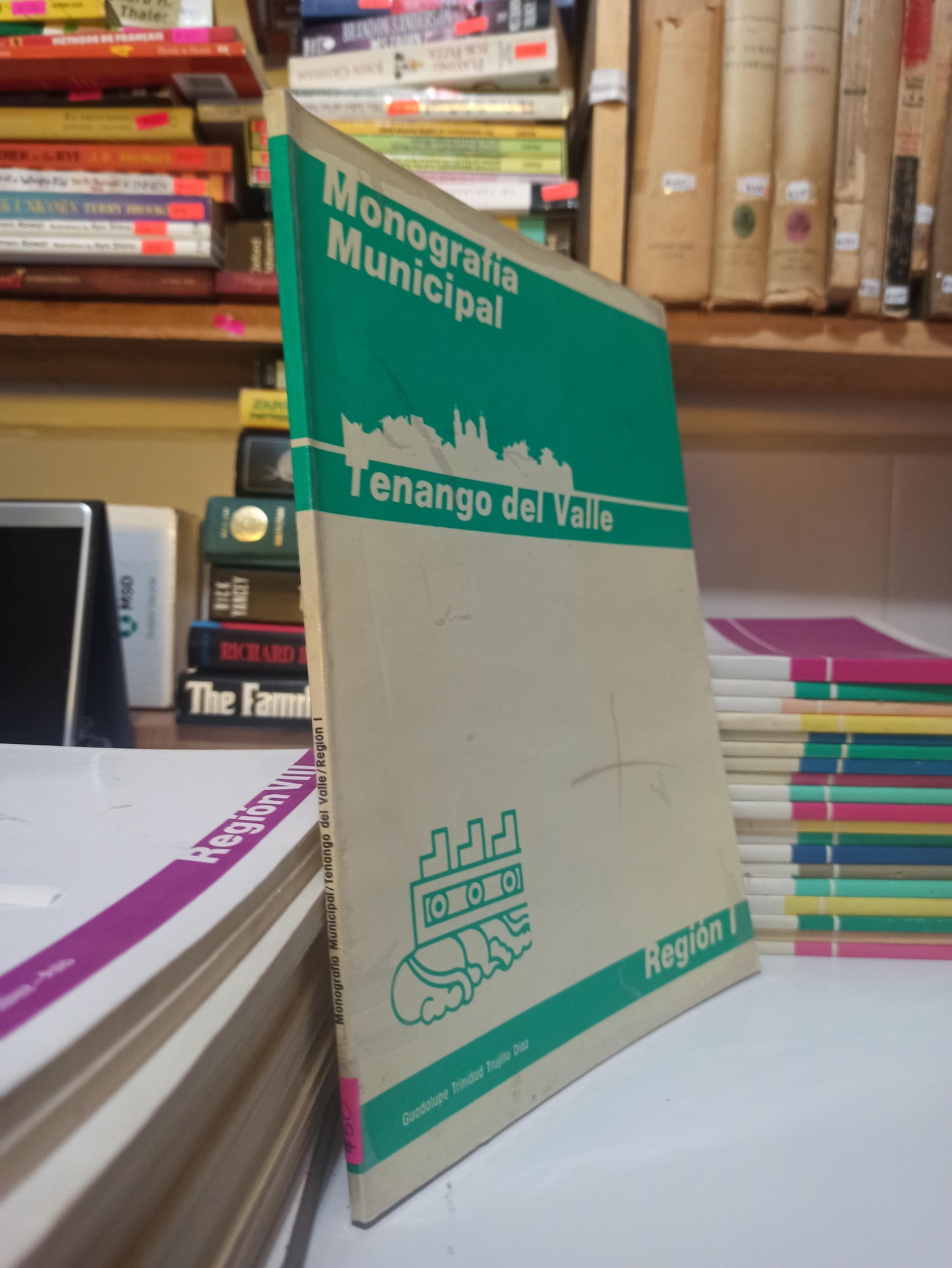 MONOGRAFIA MUNICIPAL TENANGO DEL VALLE POR GUADALUPE TRINIDAD TRUJILLO USADO EDOMEX JUÁREZ