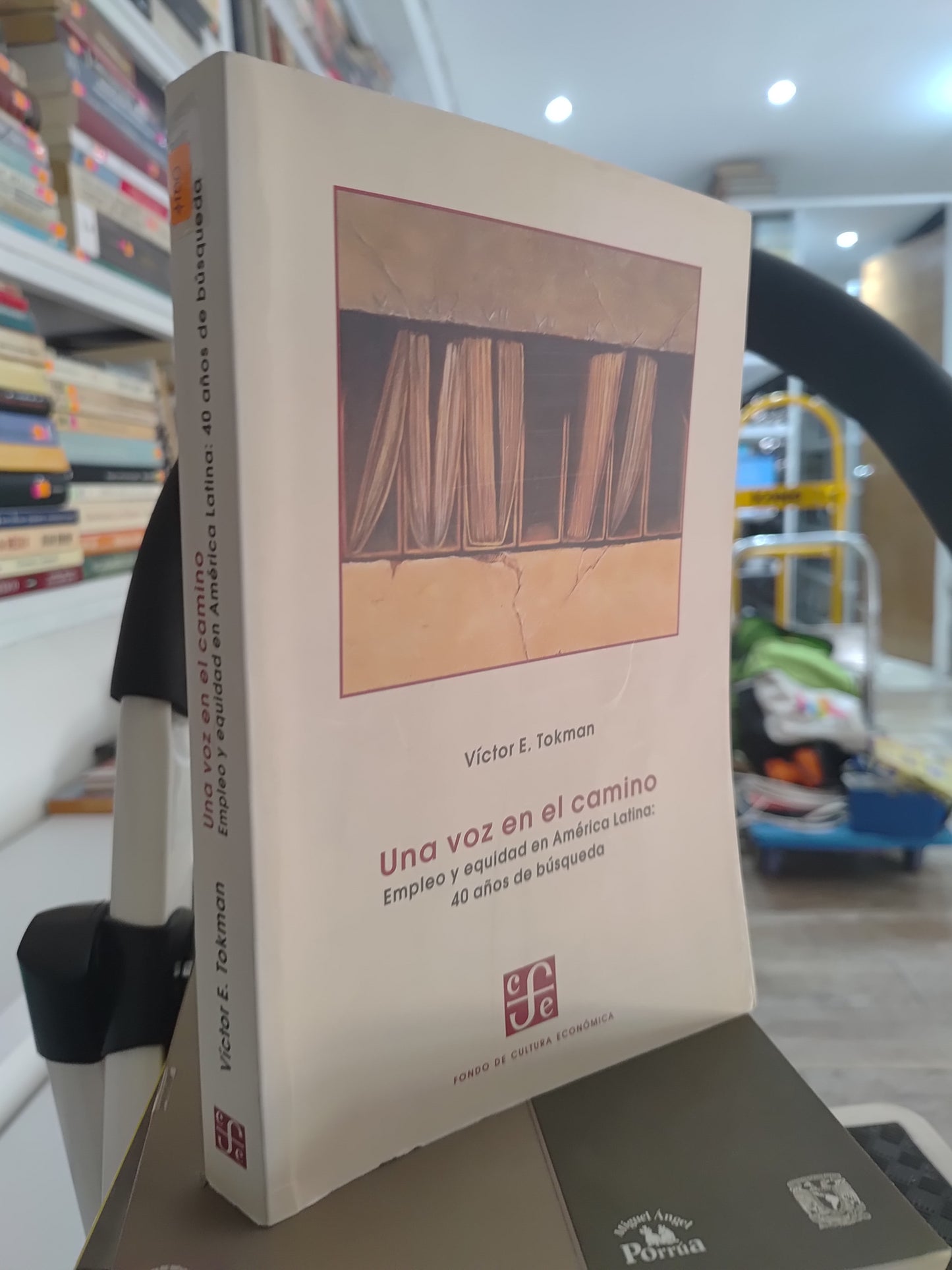 UNA VOZ EN EL CAMINO POR VICTOR E. TOKMAN USADO SOCIOLOGIA JUAREZ 515