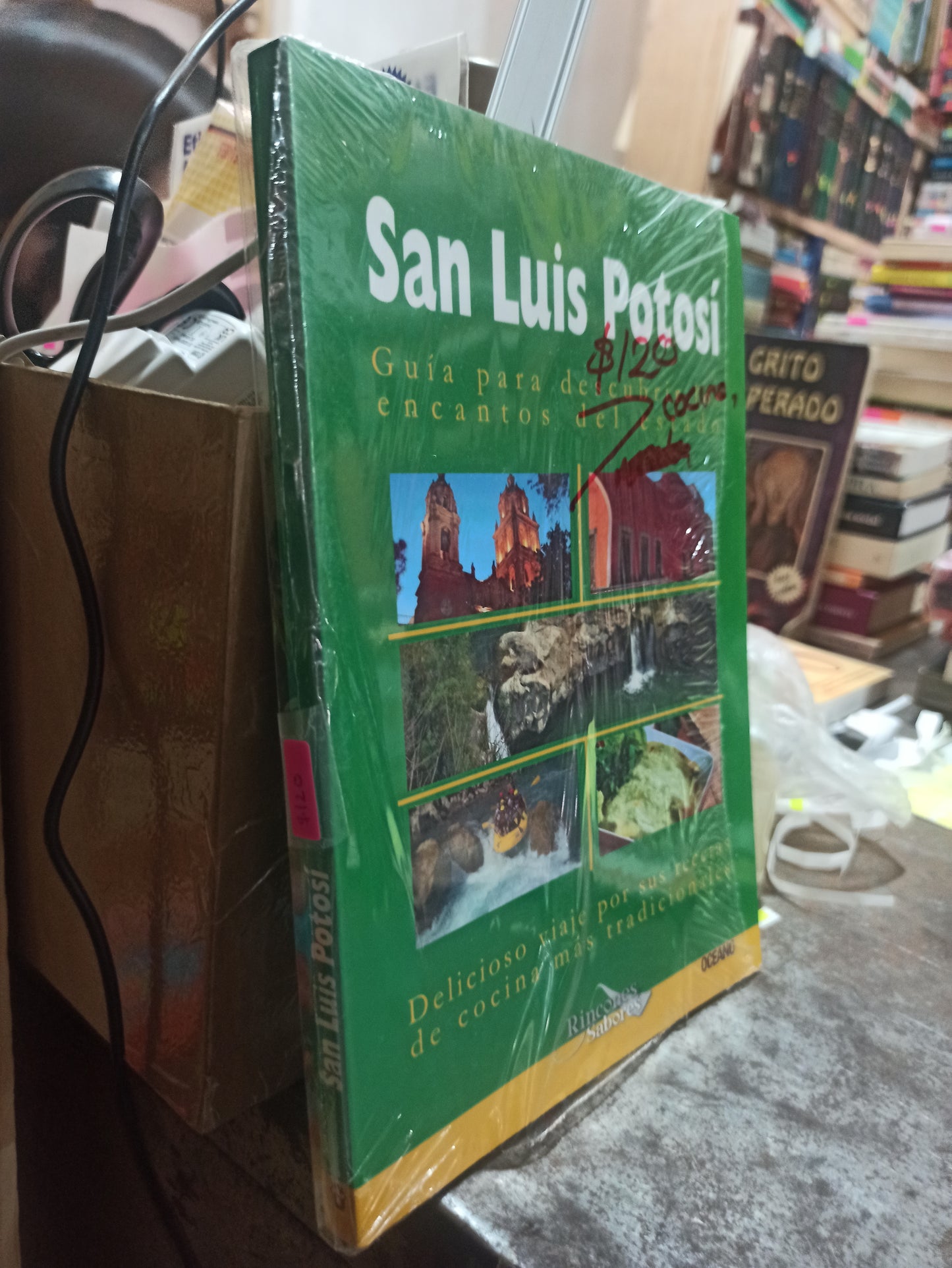 SAN LUIS POTOSI POR EDITORIAL OCEANO USADO COCINA ALDAMA