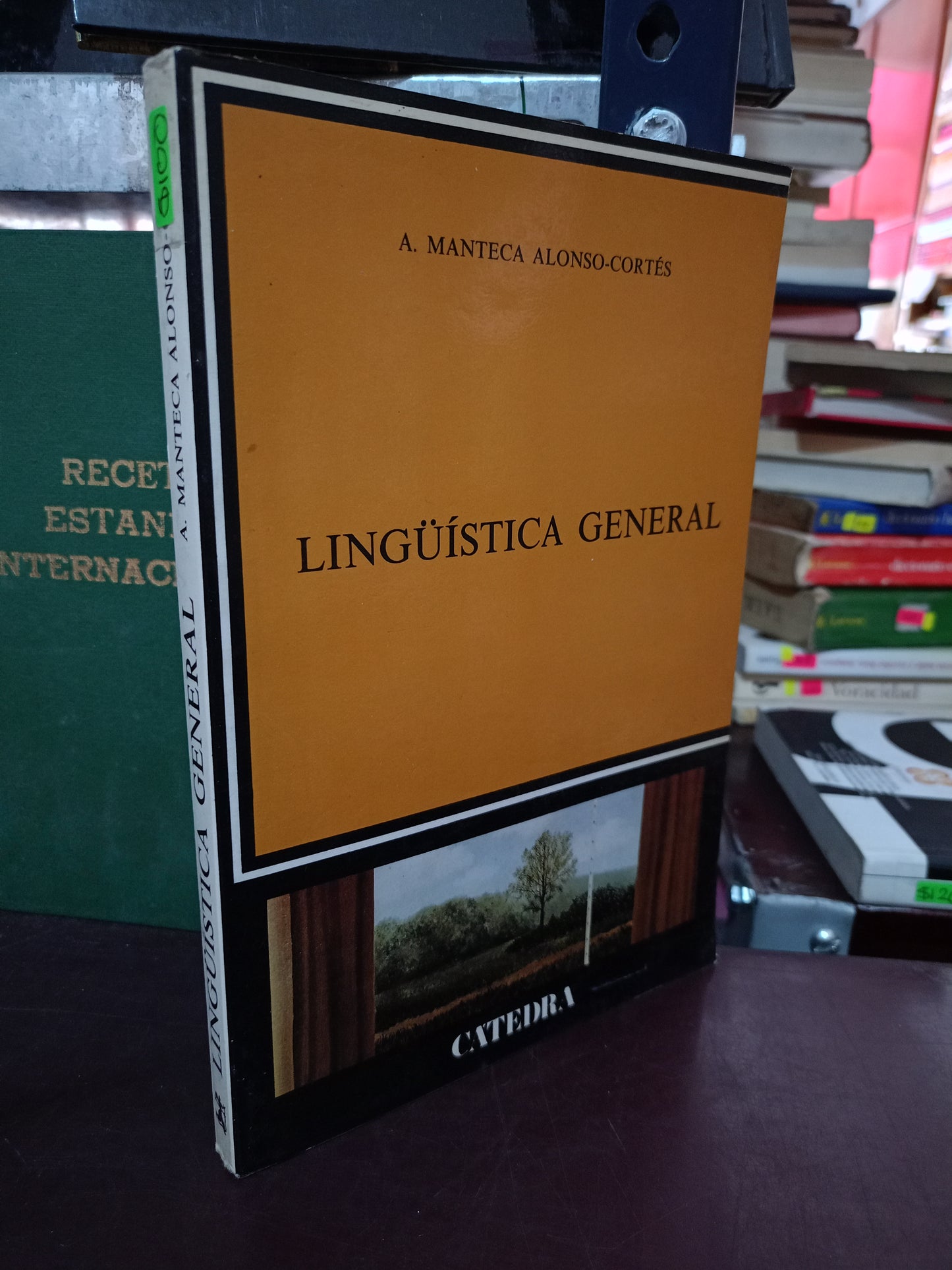 LINGÜÍSTICA GENERAL POR ÁNGEL MANTECA ALONSO-CORTÉS USADO EDUCACIÓN LITERARIO 305