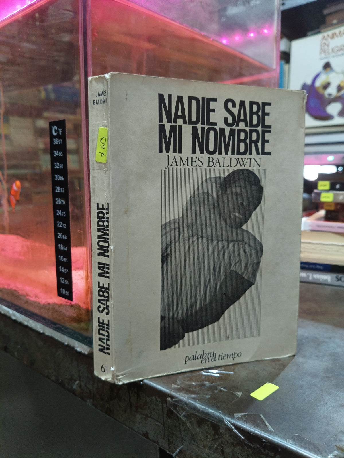 NADIE SABE MI NOMBRE POR JAMES BALDWIN USADO NOVELA ALDAMA