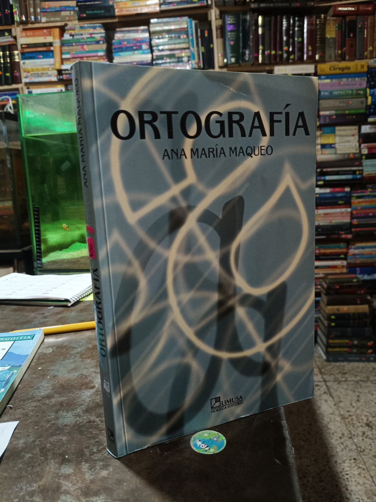 ORTOGRAFIA POR ANA MARIA MAQUEO USADO EDUCACION ALDAMA