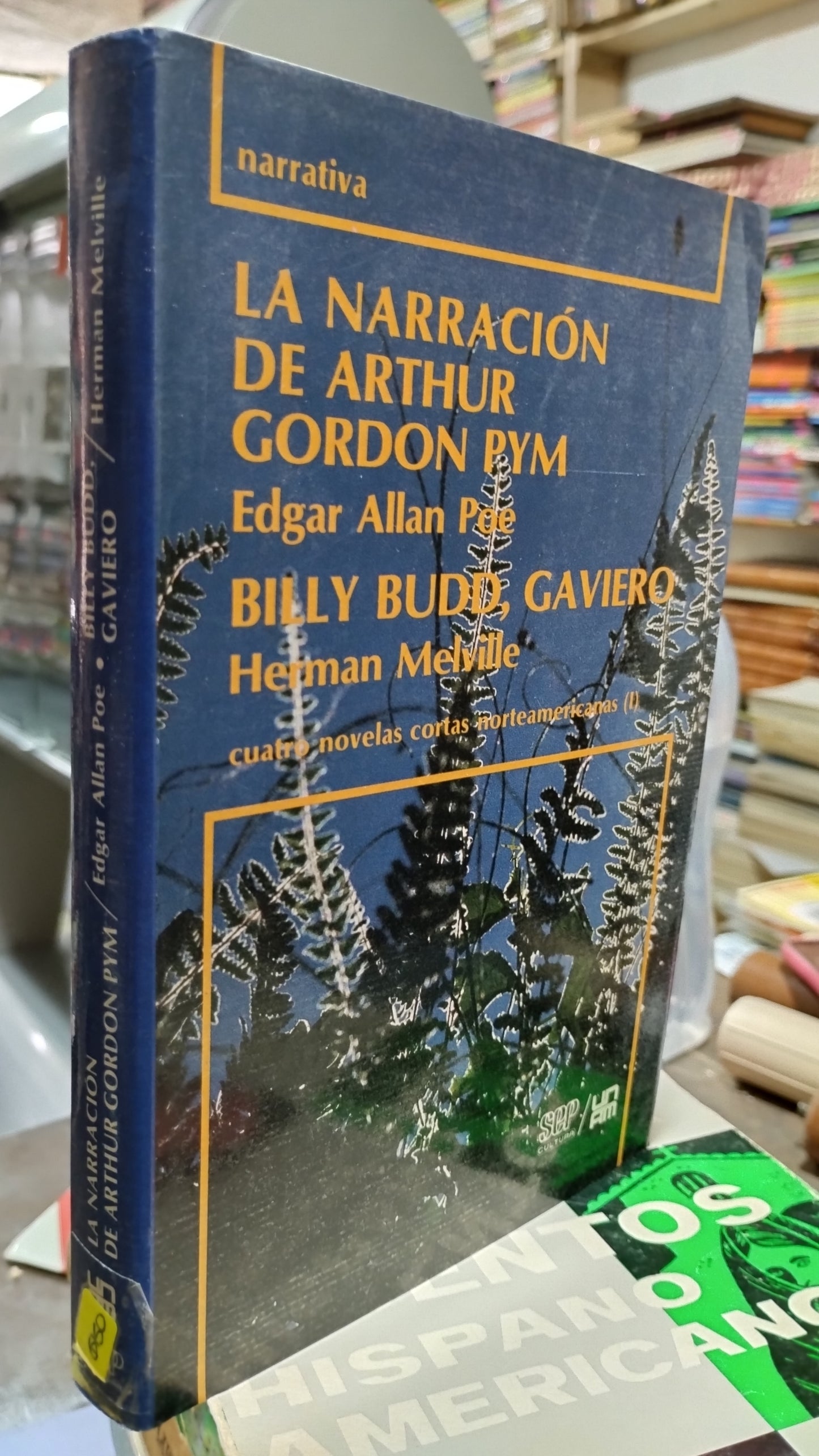 LA NARRACION DE ARTHUR GORDON PYM POR EDGAR ALLAN POE LIBRO USADO NOVELAS ALDAMA