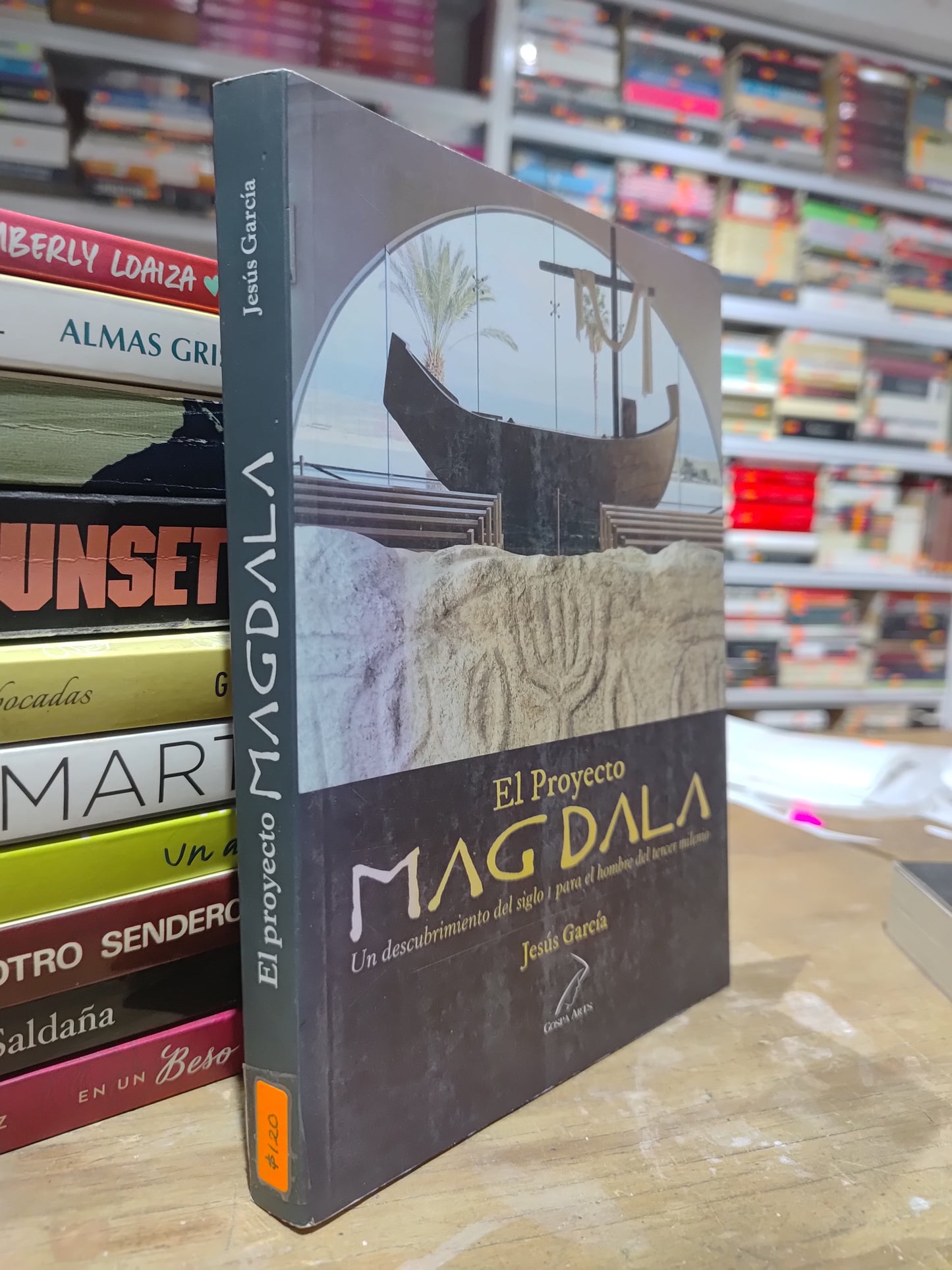 EL PROYECTO MAGDALA POR JESUS GARCIA USADO NOVELAS JUAREZ 515