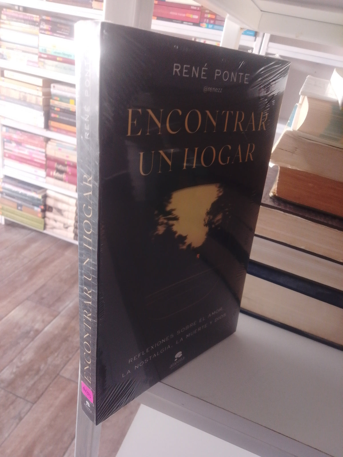 ENCONTRAR UN HOGAR POR RENE PONTE NUEVO JUAREZ 515