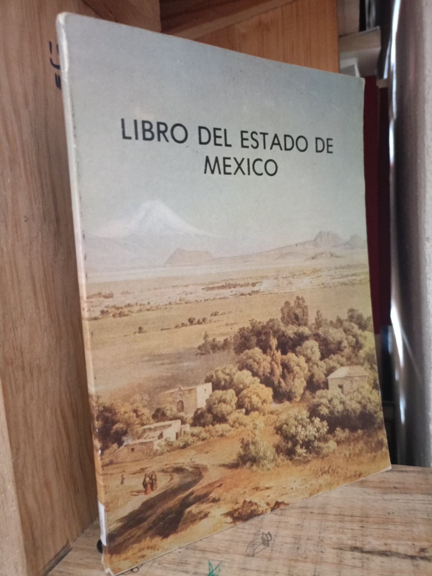 LIBRO DEL ESTADO DE MEXICO USADO HISTORIA LITERARIO 305