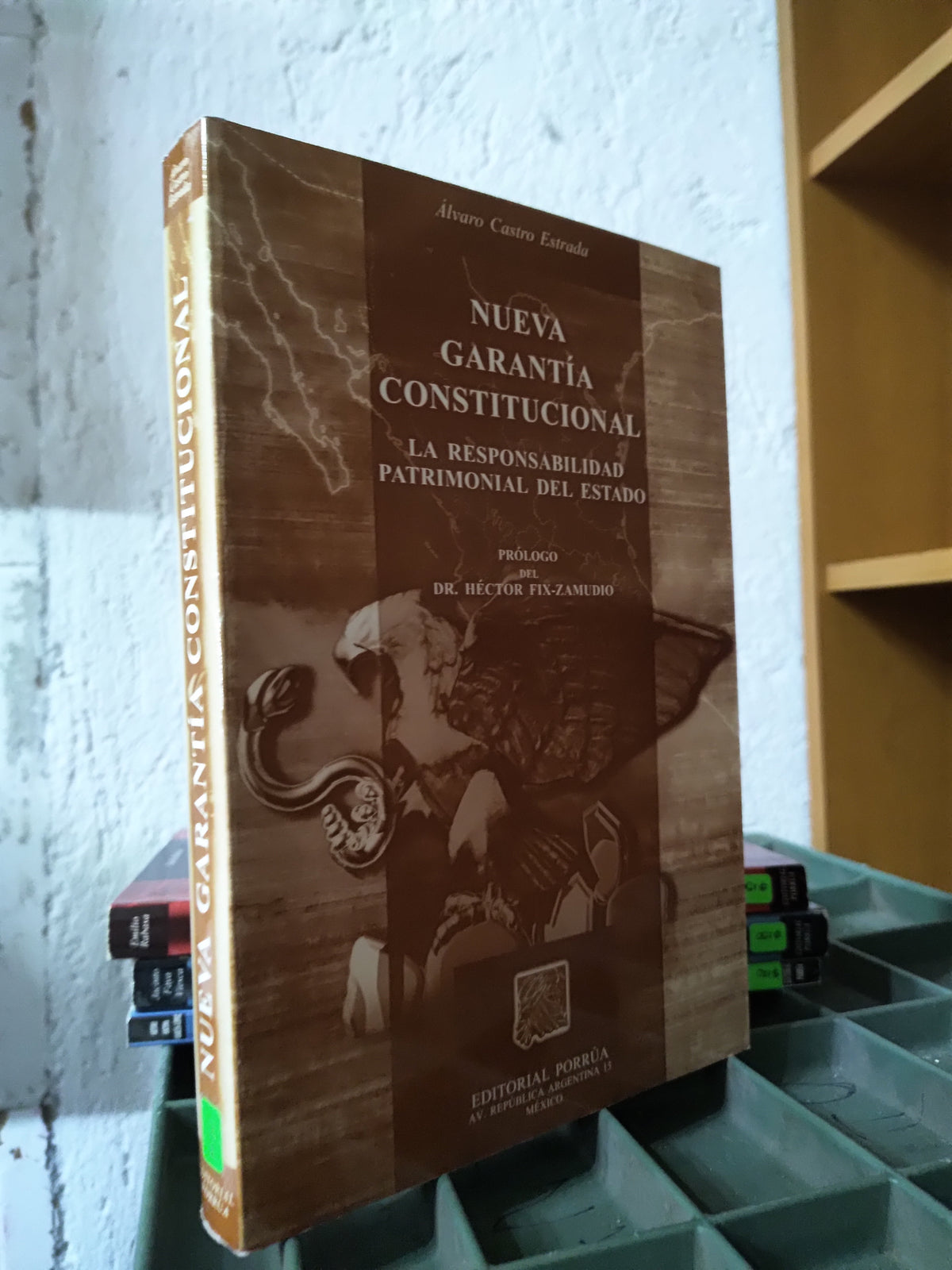 NUEVA GARANTIA CONSTITUCIONAL POR ALVARO CASTRO ESTRADA USADO DERECHO JUAREZ 515