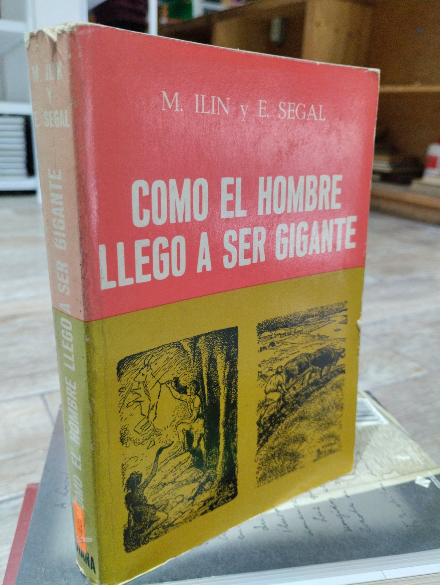 COMO EL HOMBRE LLEGO A SER GIGANTE POR M ILIN Y E SEGAL USADO HISTORIA JUAREZ 515