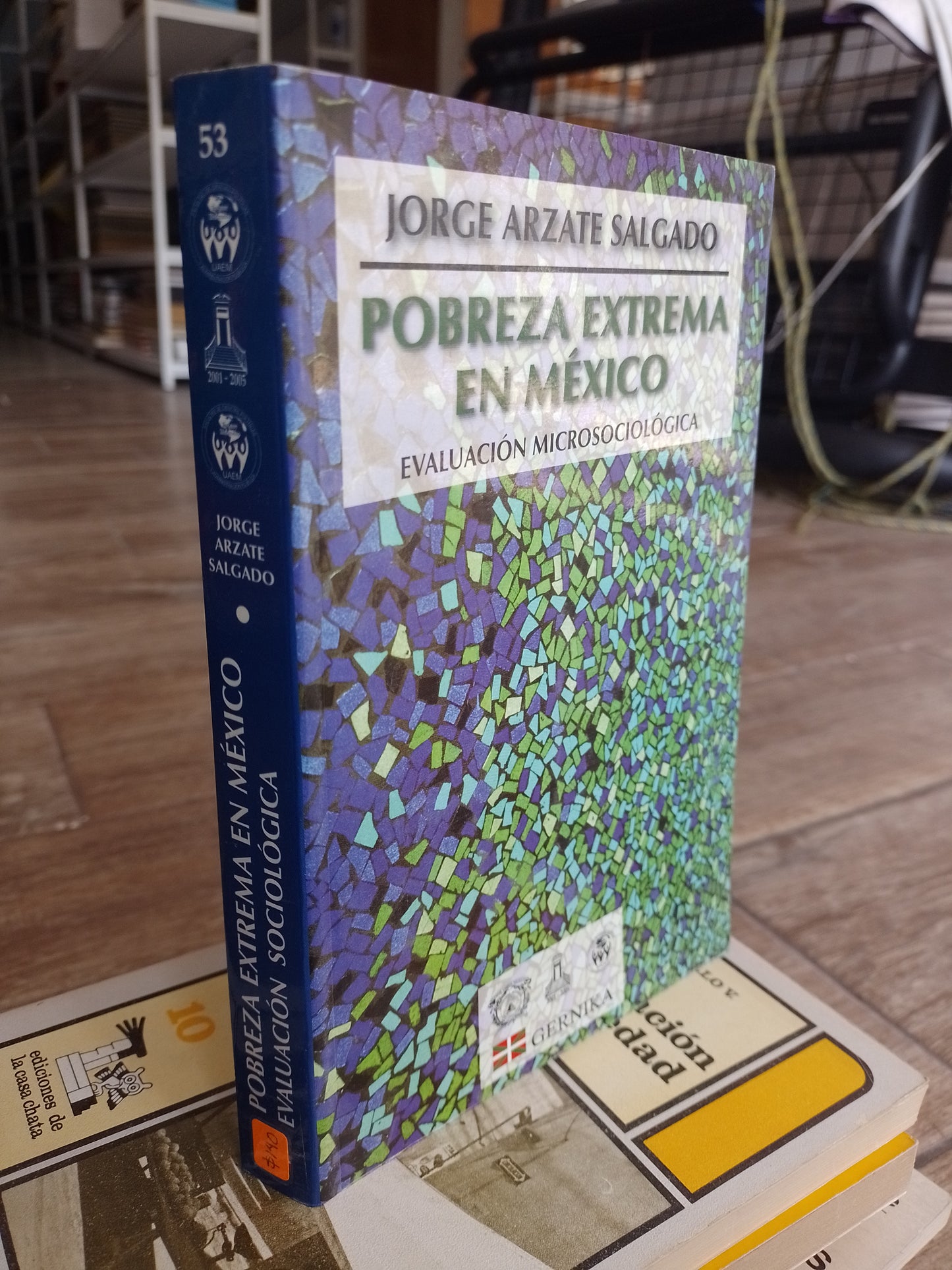 POBREZA EXTREMA EN MEXICO POR JORGE ARZATE SALDAGO USADO SOCIOLOGIA JUAREZ 515