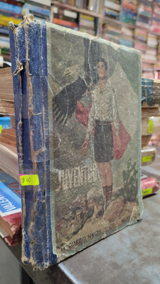 JUVENTUD LIBRO USADO NOVELAS ALDAMA