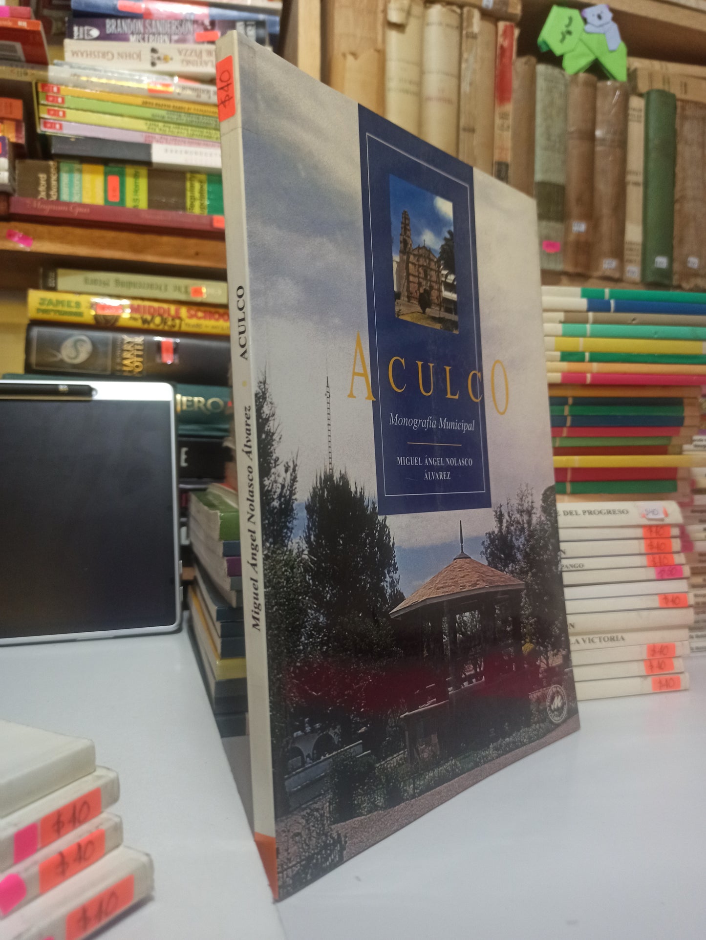 ACULCO POR MIGUEL ANGEL NOLASCO USADO EDOMEX JUÁREZ