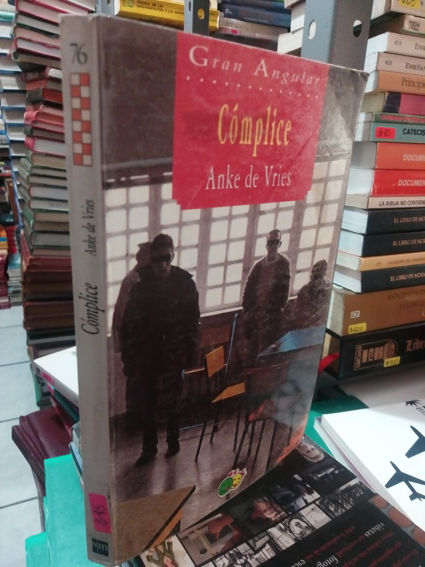 COMPLICE POR ANKE DE VRIES USADO NOVELA JUAREZ