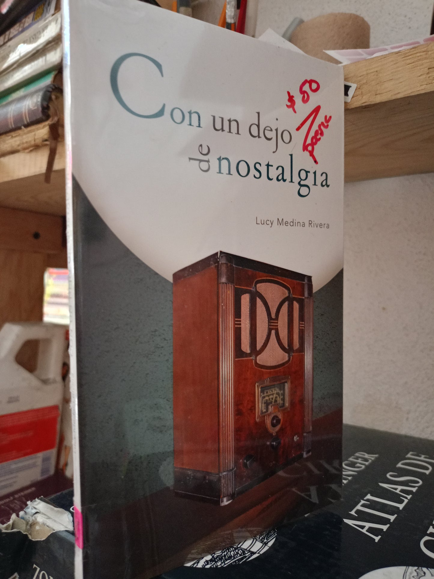 CON UN DEJO DE NOSTALGIA POR LUCY MEDINA RIVERA NUEVO POESÍA LITERARIO 305