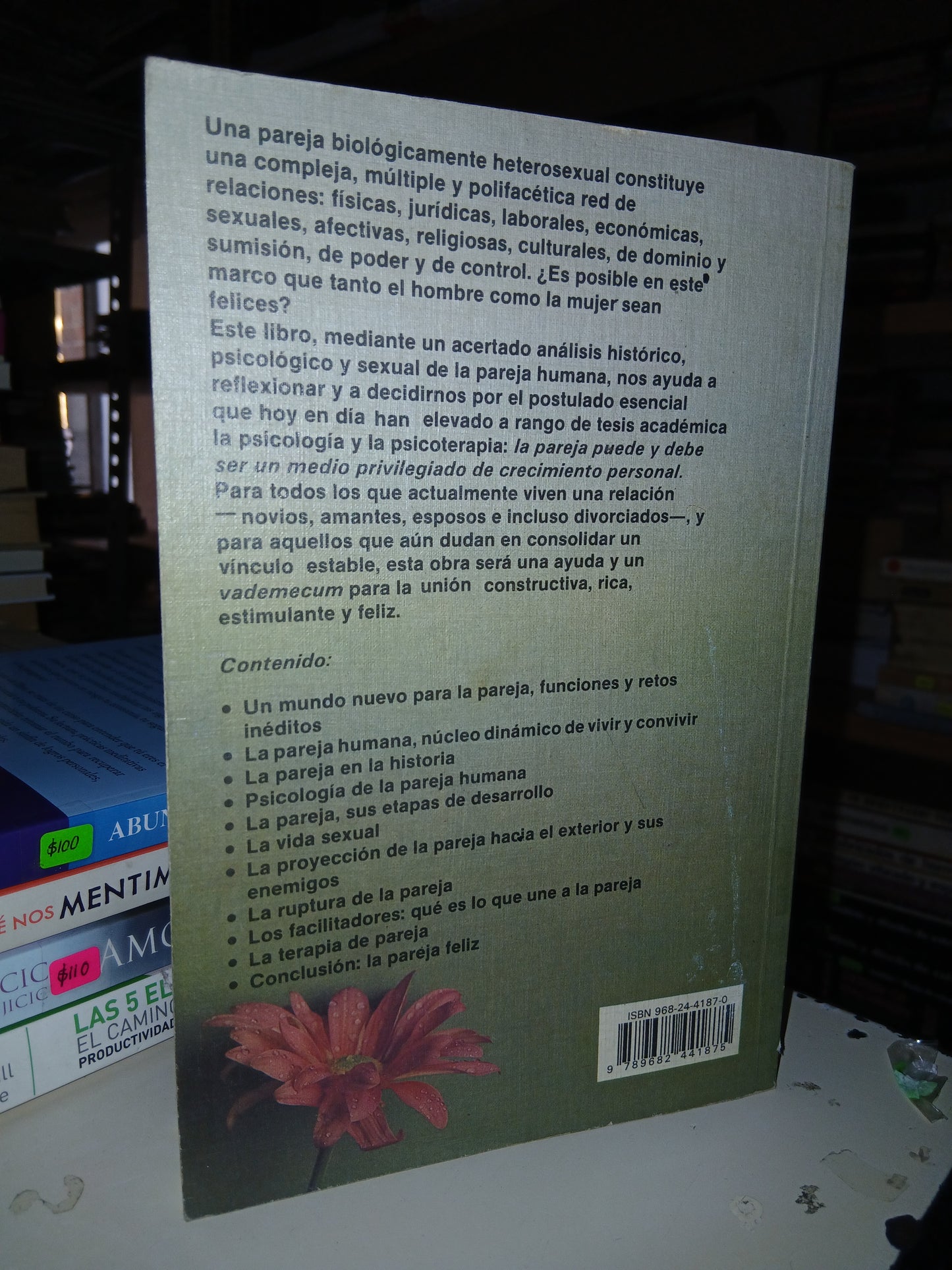 LA CREATIVIDAD EN LAS RELACIONES DE PAREJA POR MAURO RODRÍGUEZ ESTRADA Y ERIKA MOGYOROS MARCUSHAMER USADO SUPERACIÓN PERSONAL LITERARIO 207