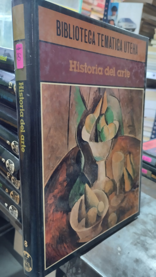 HISTORIA DEL ARTE LIBRO USADO ARTE ALDAMA