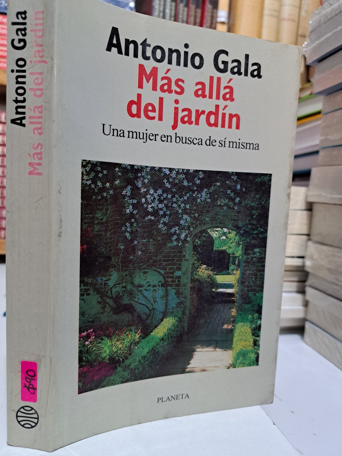 MÁS ALLÁ DEL JARDÍN ANTONIO GALA USADO NOVELA JUÁREZ