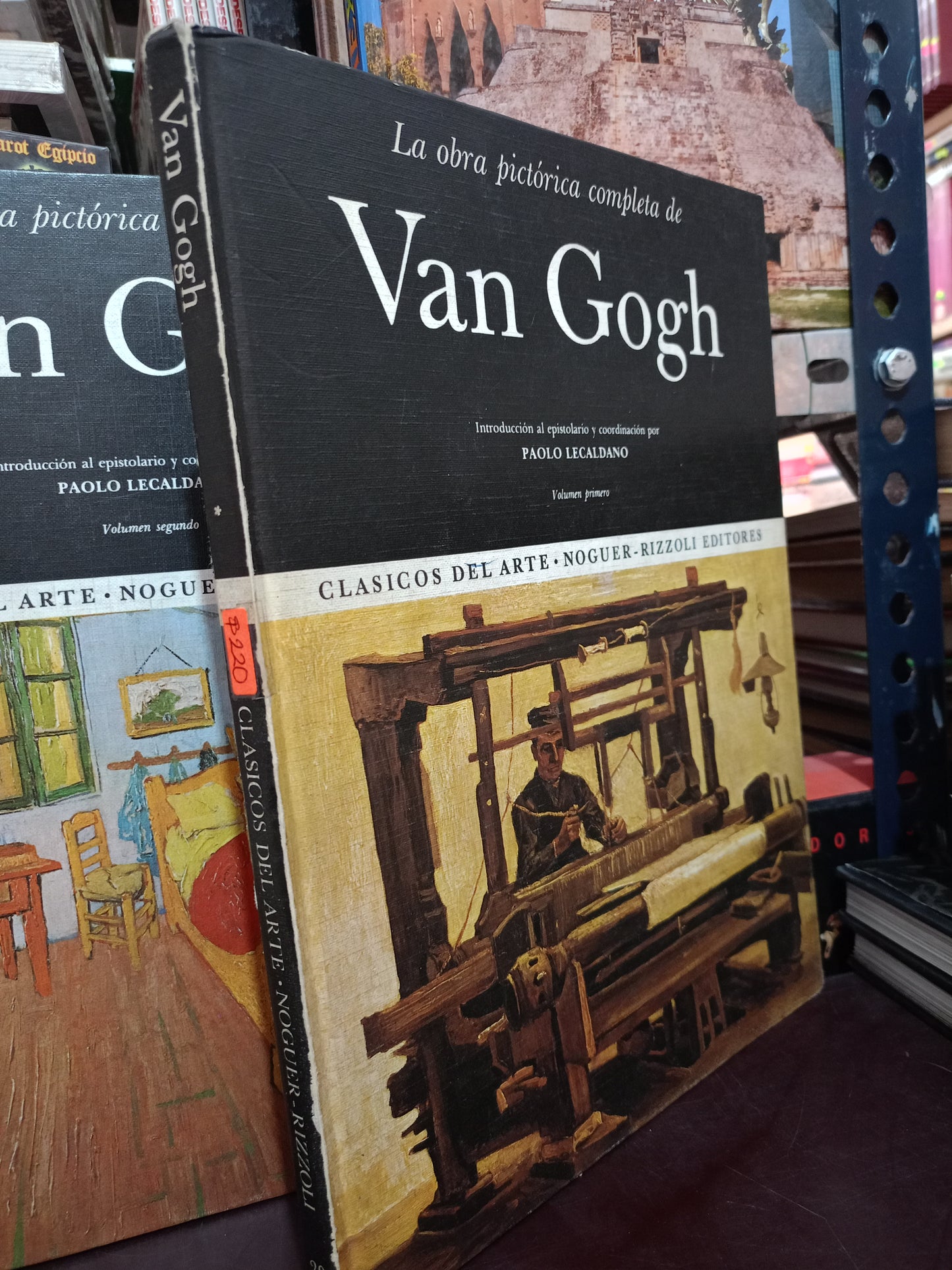 LA OBRA PICTORICA COMPLETA DE VAN GOGH USADO ARTE LITERARIO 305