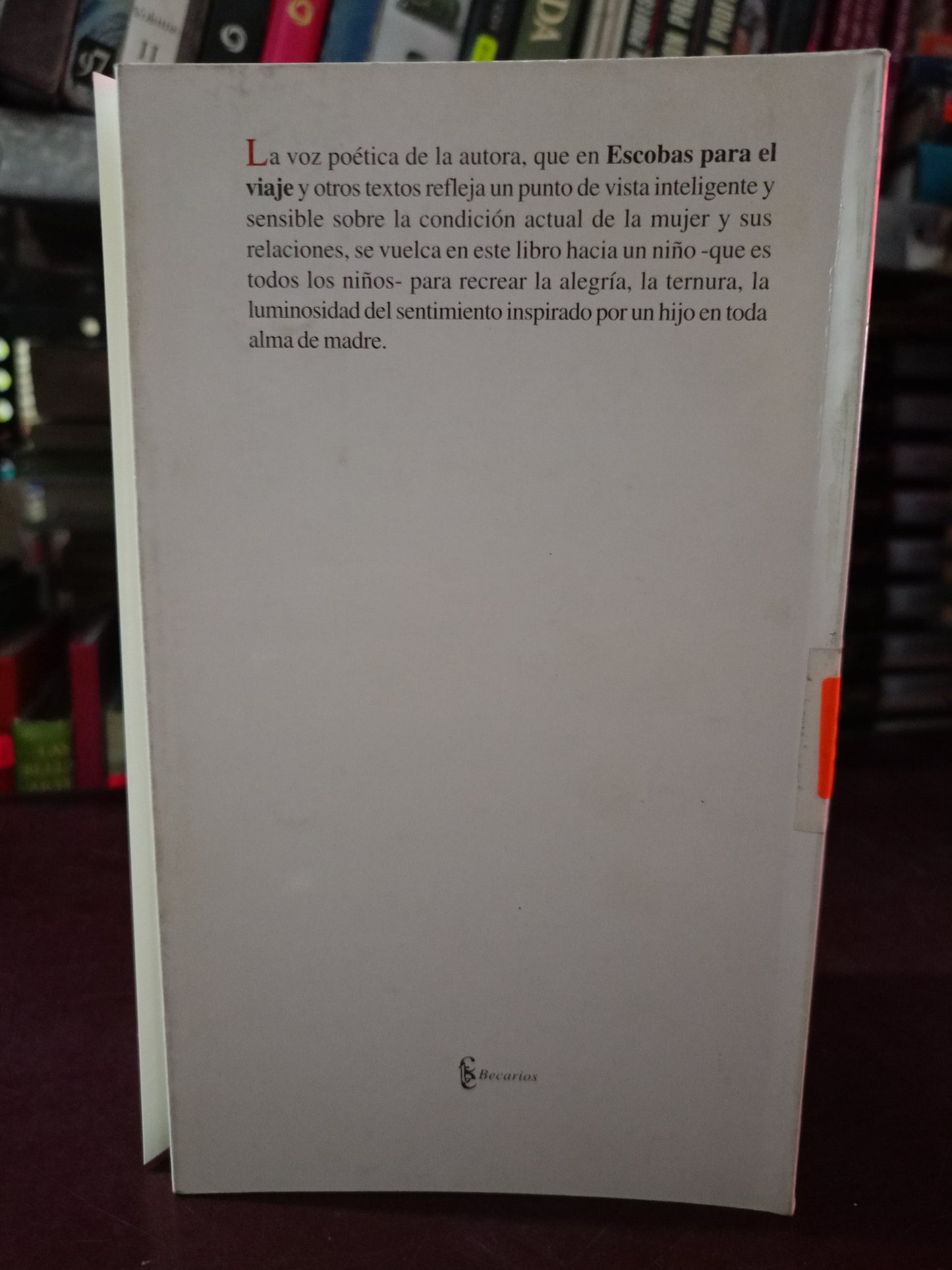 PAPALOTE DE LUZ PARA ANDRÉS POR LIZBETH PADILLA USADO NOVELA LITERARIO 305