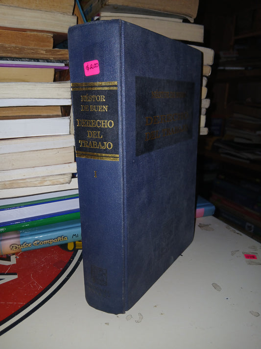 DERECHO DEL TRABAJO POR NÉSTOR DE BUEN USADO DERECHO LITERARIO 207