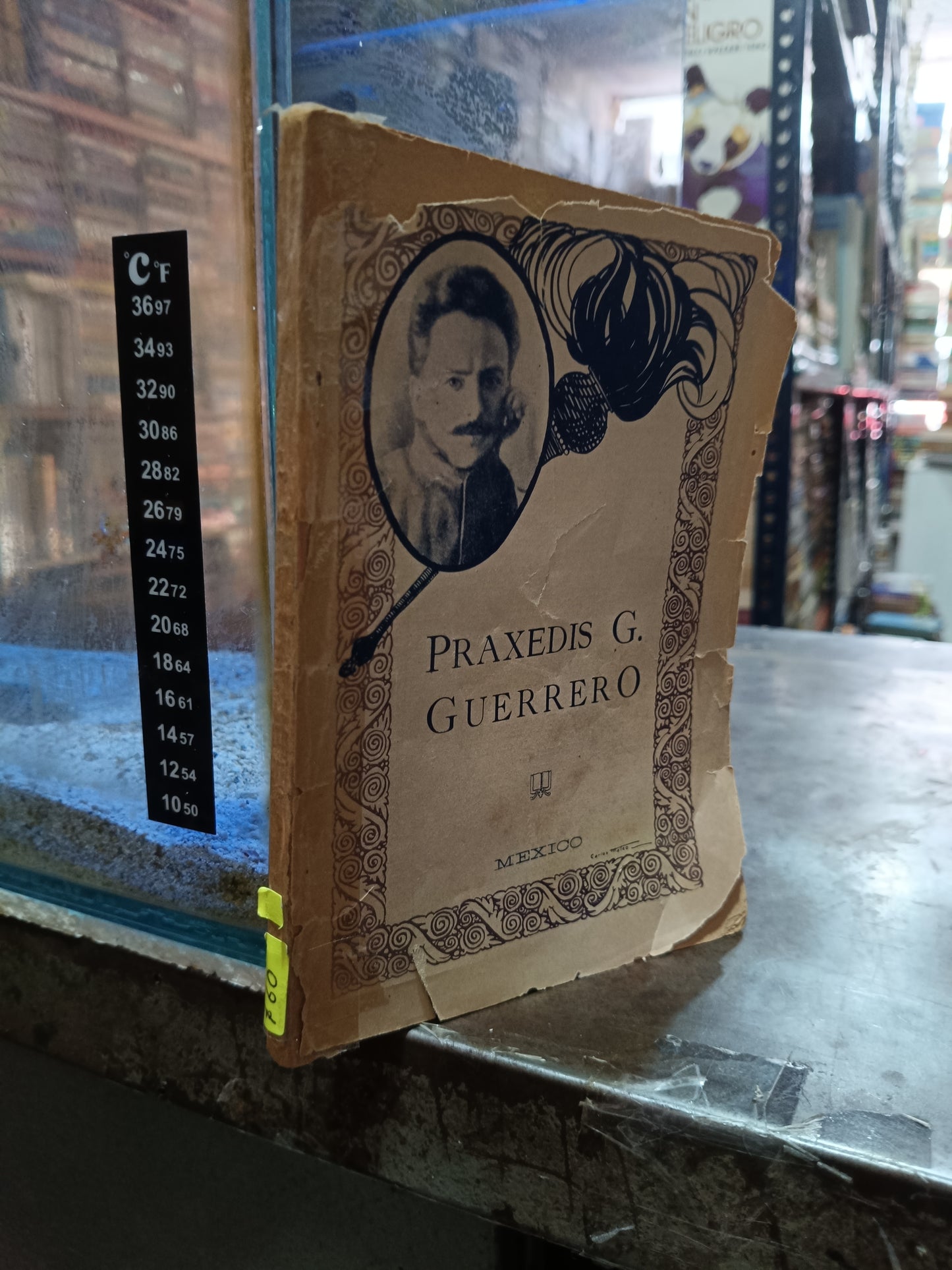 PRAXEDIS G. GUERRERO USADO NOVELA ALDAMA