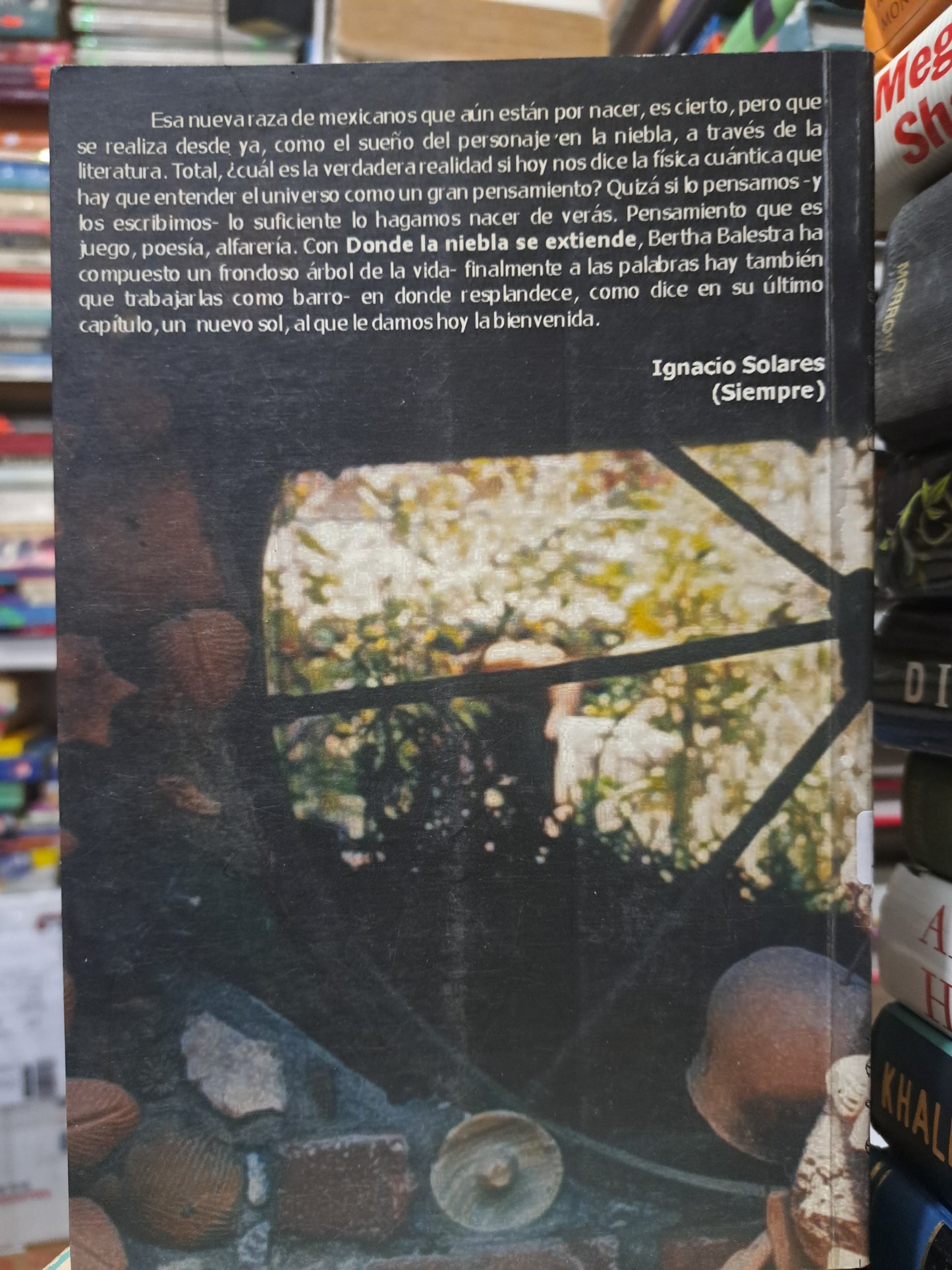 DONDE LA NIEBLA SE EXTIENDE BERTHA BALESTRA USADO NOVELA JUÁREZ