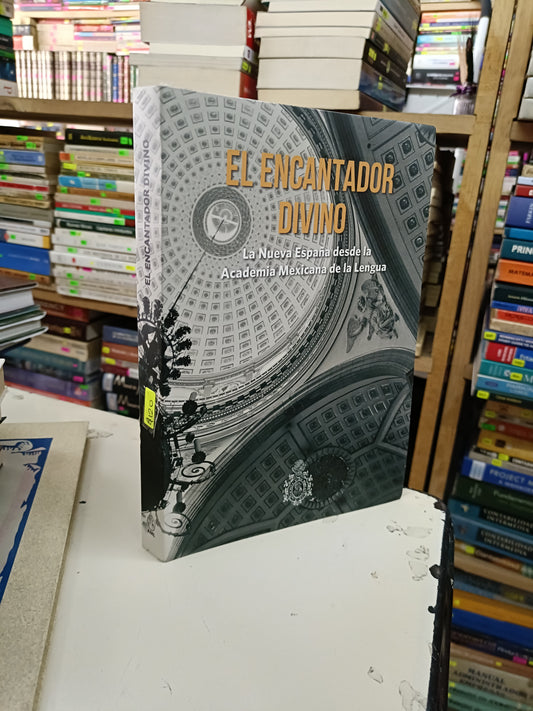 EL ENCANTADOR DIVINO USADO HISTORIA LITERARIO 207