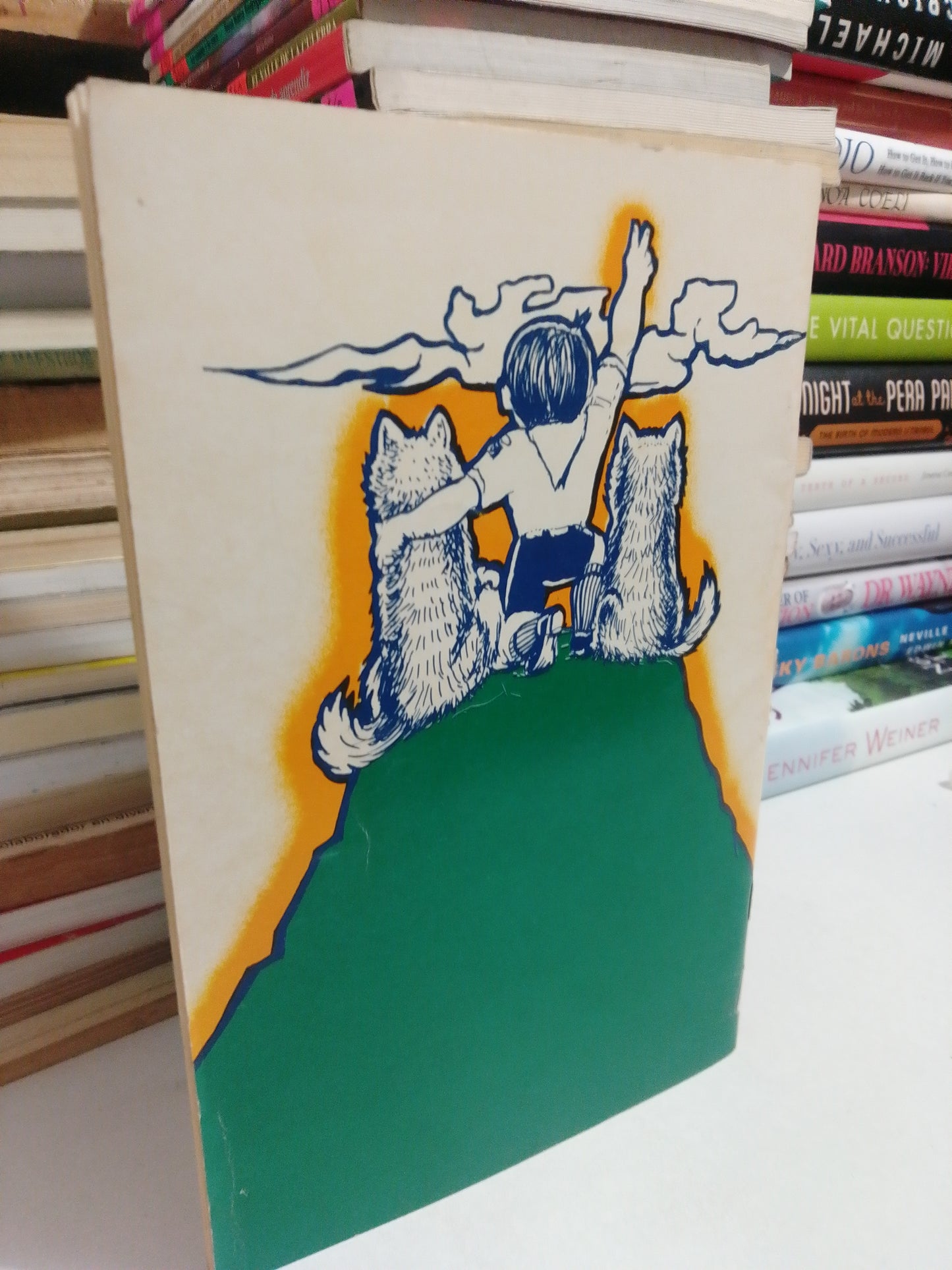 RECORRIDOS DEL LOBO ASOCIACIÓN DE SCOUTS DE MÉXICO USADO NOVELA JUÁREZ