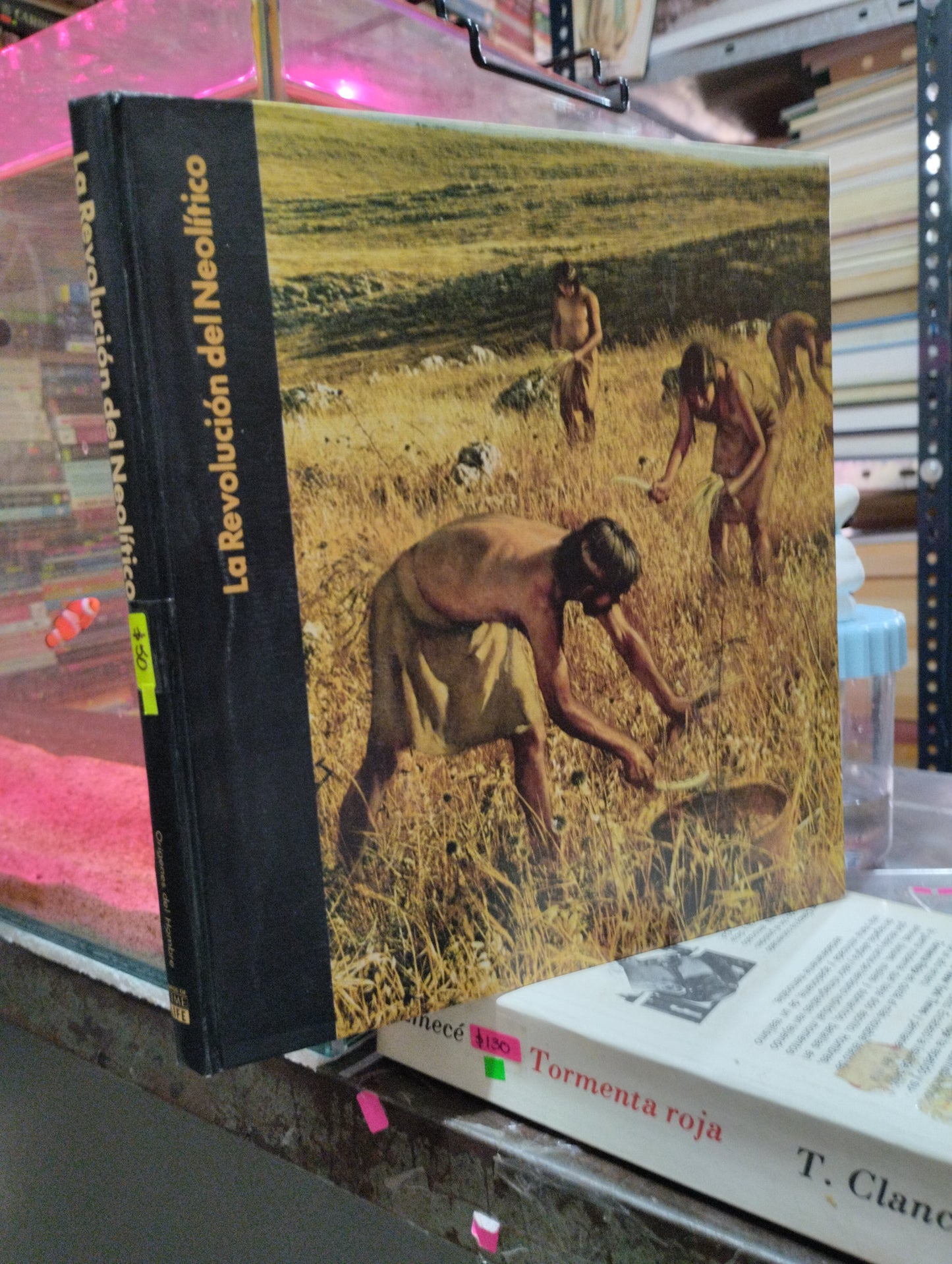 LA REVOLUCIÓN DEL NEOLÍTICO USADO HISTORIA ALDAMA