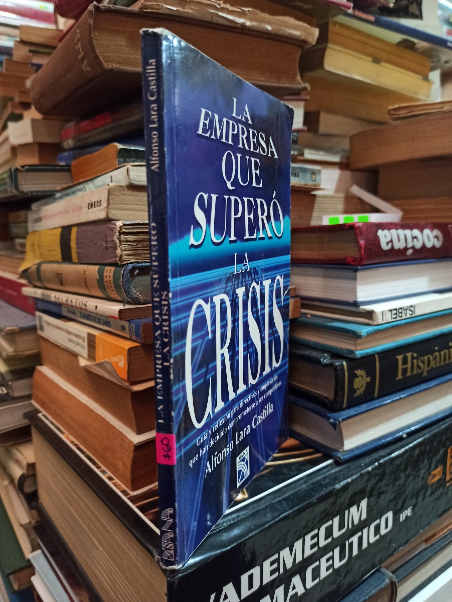 LA EMPRESA QUE SUPERÓ LA CRISIS POR ALFONSO LARA CASTILLA USADO SUPERACIÓN PERSONAL ALDAMA