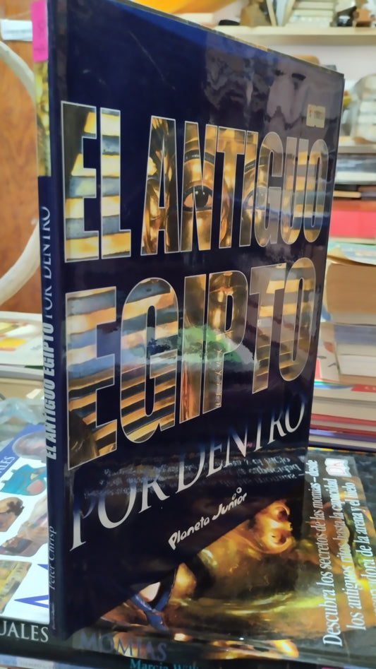 EL ANTIGUO EGIPTO POR DENTRO LIBRO USADO HISTORIA ALDAMA