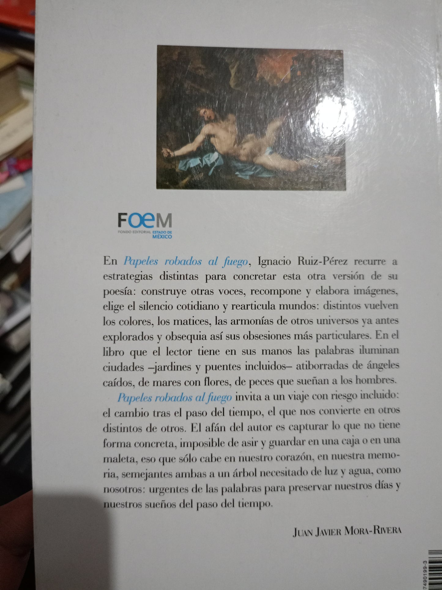 PAPELES ROBADOS AL FUEGO POR IGNACIO RUIZ USADO POESIA LITERARIO #305