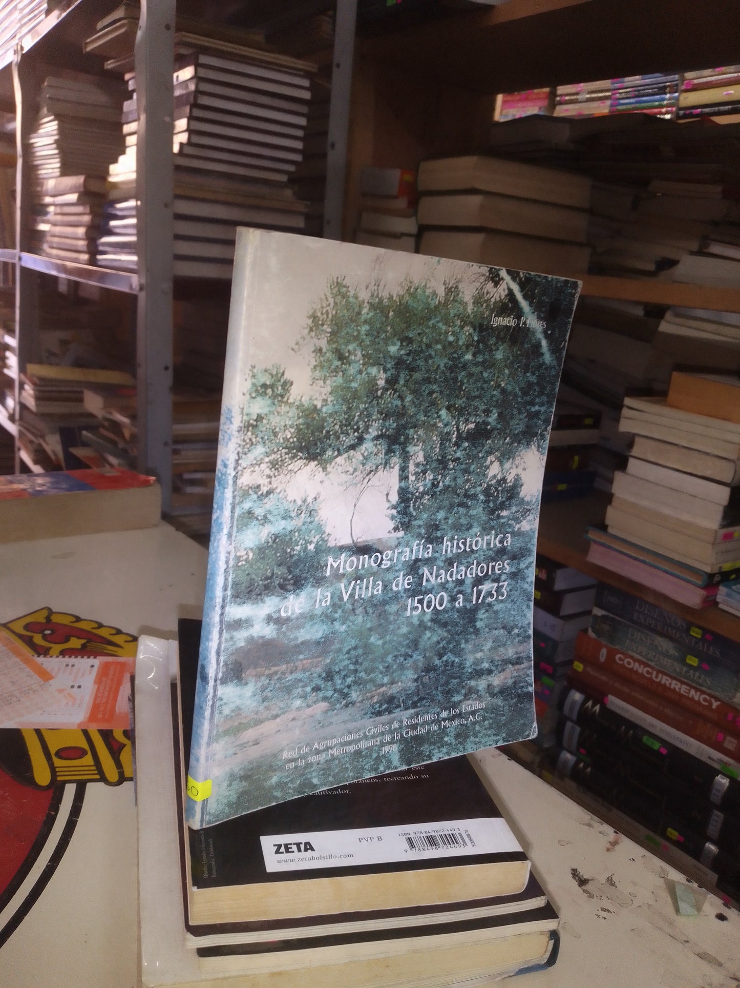MONOGRAFÍA HISTÓRICA DE LA VILLA DE NADADORES 1500 A 1733 POR IGNACIO P. FLORES USADO HISTORIA LITERARIO 207