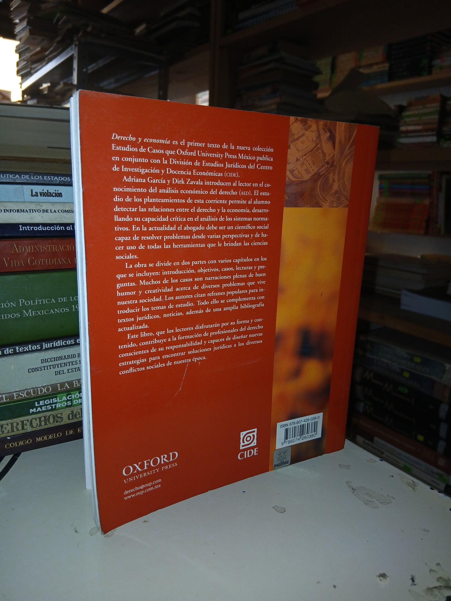 DERECHO Y ECONOMÍA POR ADRIANA GARCÍA GARCÍA Y DIRK ZAVALA RUBACH USADO DERECHO LITERARIO 207