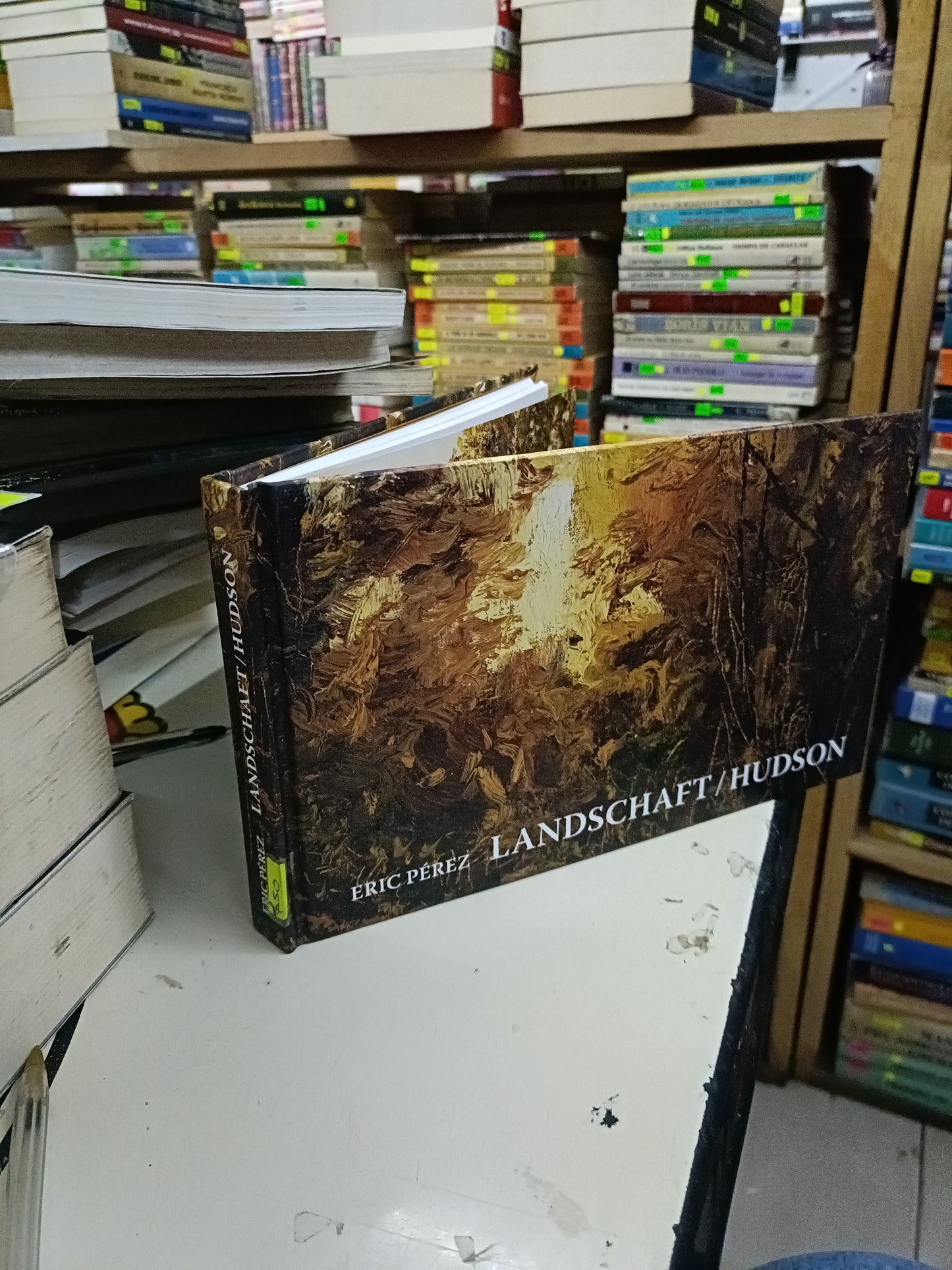 LANDSCHAFT/HUDSON POR ERIC PÉREZ USADO ARTE LITERARIO 207