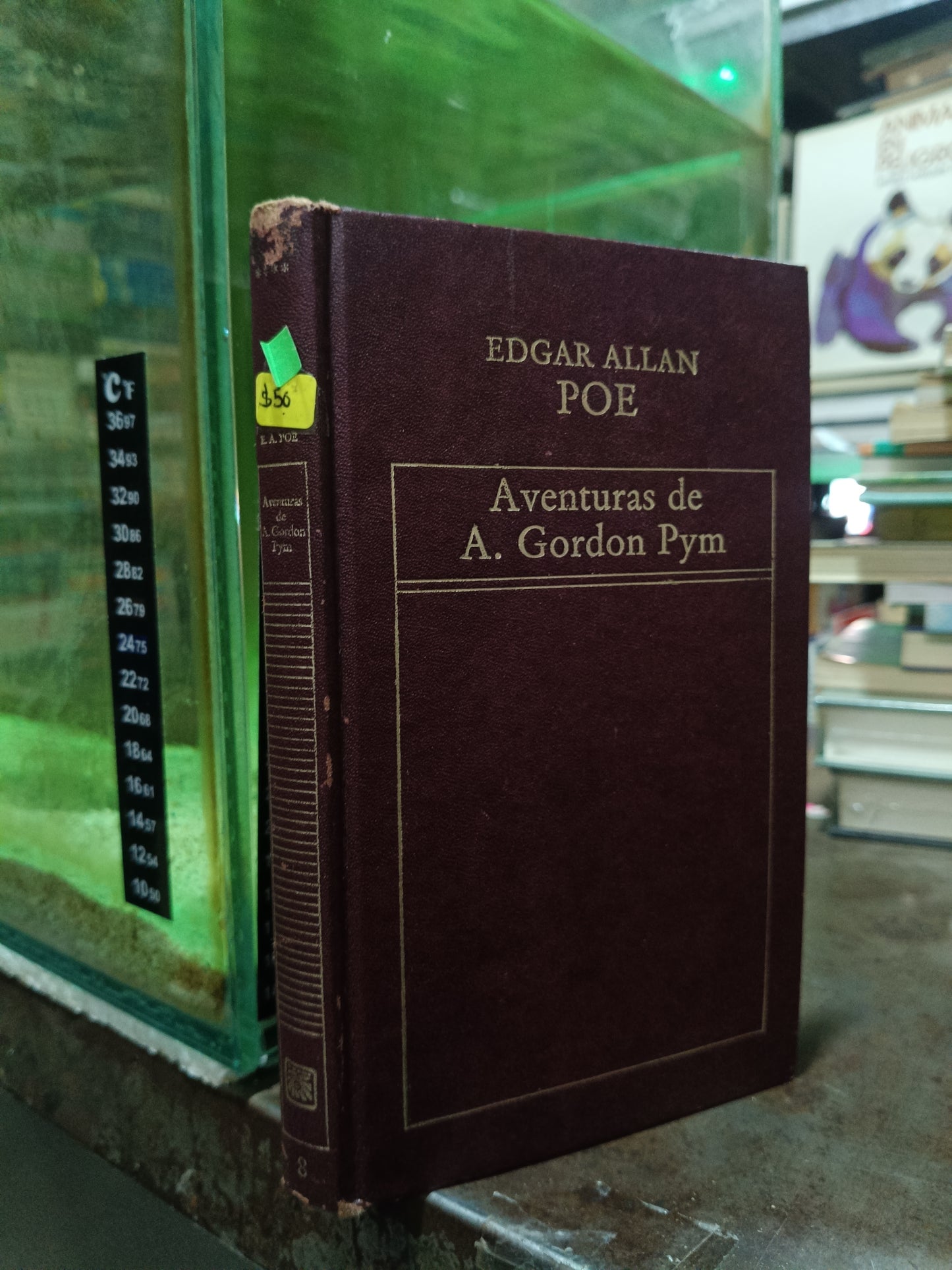 AVENTURAS DE A GORDON PYM POR EDGAR ALLAN POE USADO NOVELA ALDAMA