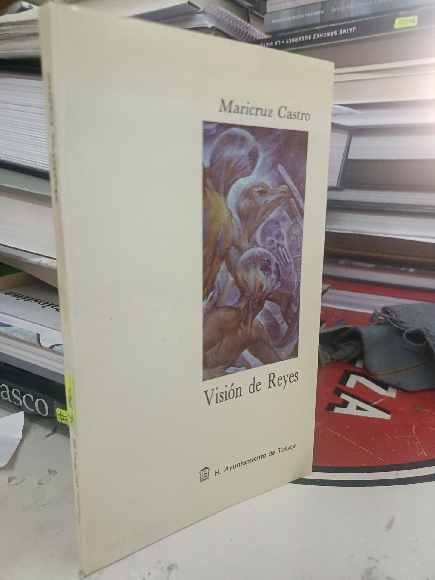 VISIÓN DE REYES POR MARICRUZ CASTRO USADO NOVELA LITERARIO 207