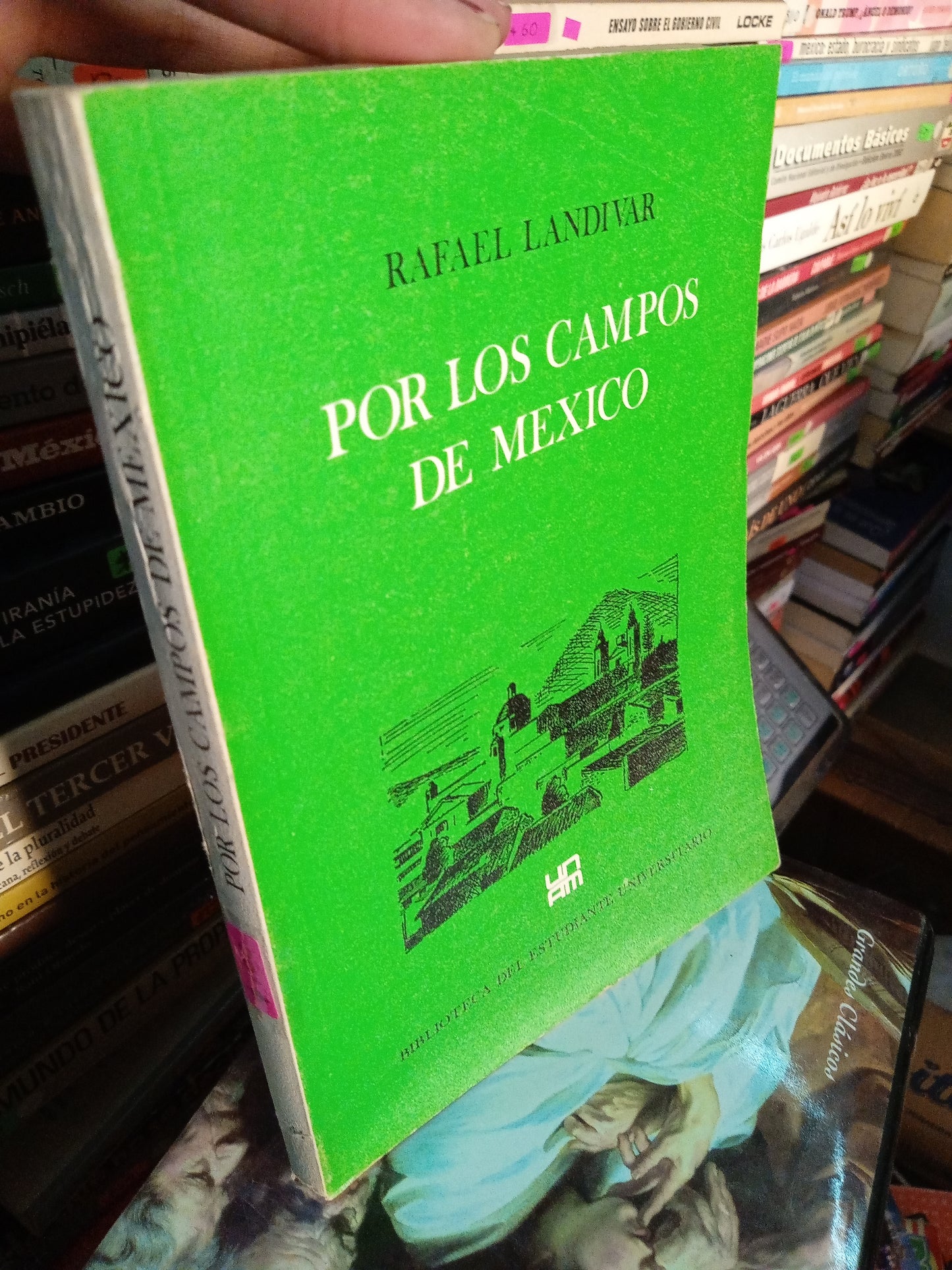 POR LOS CAMPOS DE MEXICO POR RAFEL LANDVAR USADO HISTORIA LITERARIO 207