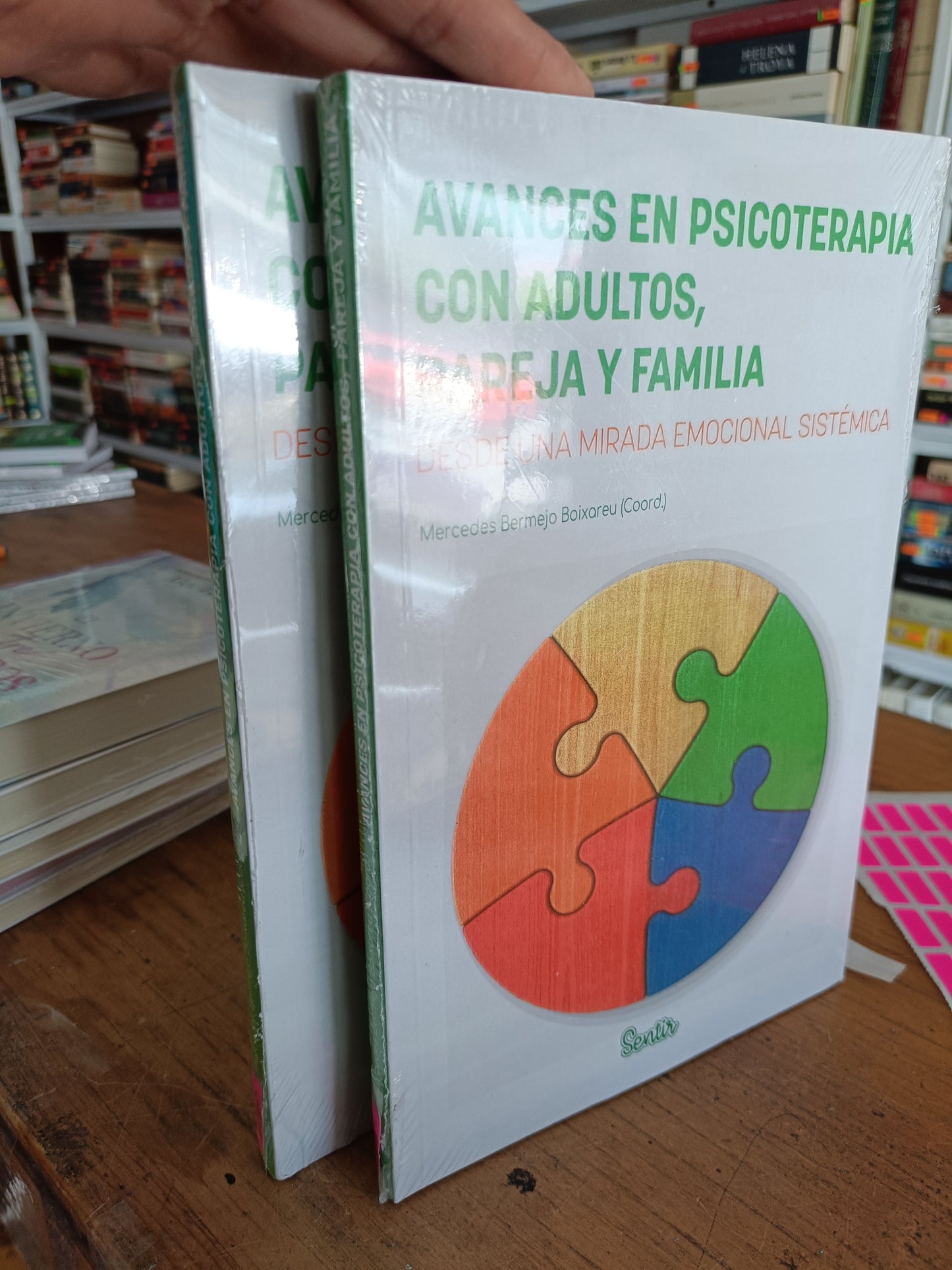 AVECES EN PSICOTERAPIA CON ADULTOS PAREJA Y FAMILIA POR MERCEDES BETMEJO BOIXAREU NUEVO JUAREZ 515
