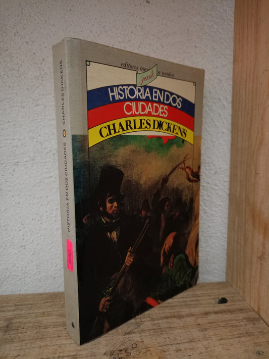 HISTORIA EN DOS CIUDADES POR CHARLES DICKENS USADO NOVELA LITERARIO 305