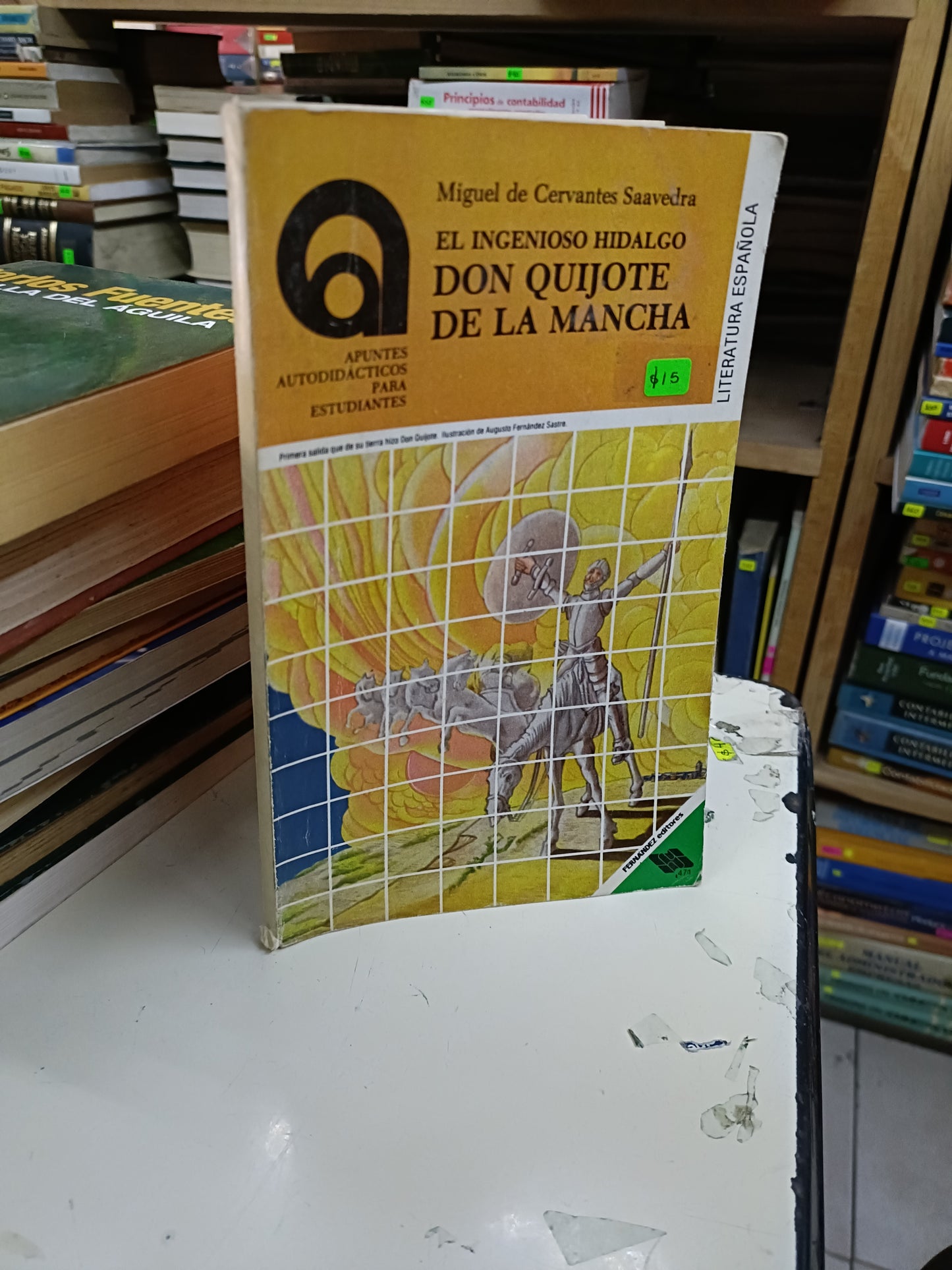 EL INGENIOSO HIDALGO DON QUIJOTE DE LA MANCHA POR MIGUEL DE CERVANTES SAAVEDRA USADO NOVELA LITERARIO 207
