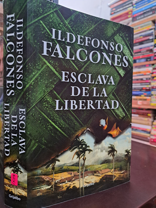 ESCLAVA DE LA LIBERTAD ILDEFONSO FALCONES USADO NOVELA LITERARIO 305