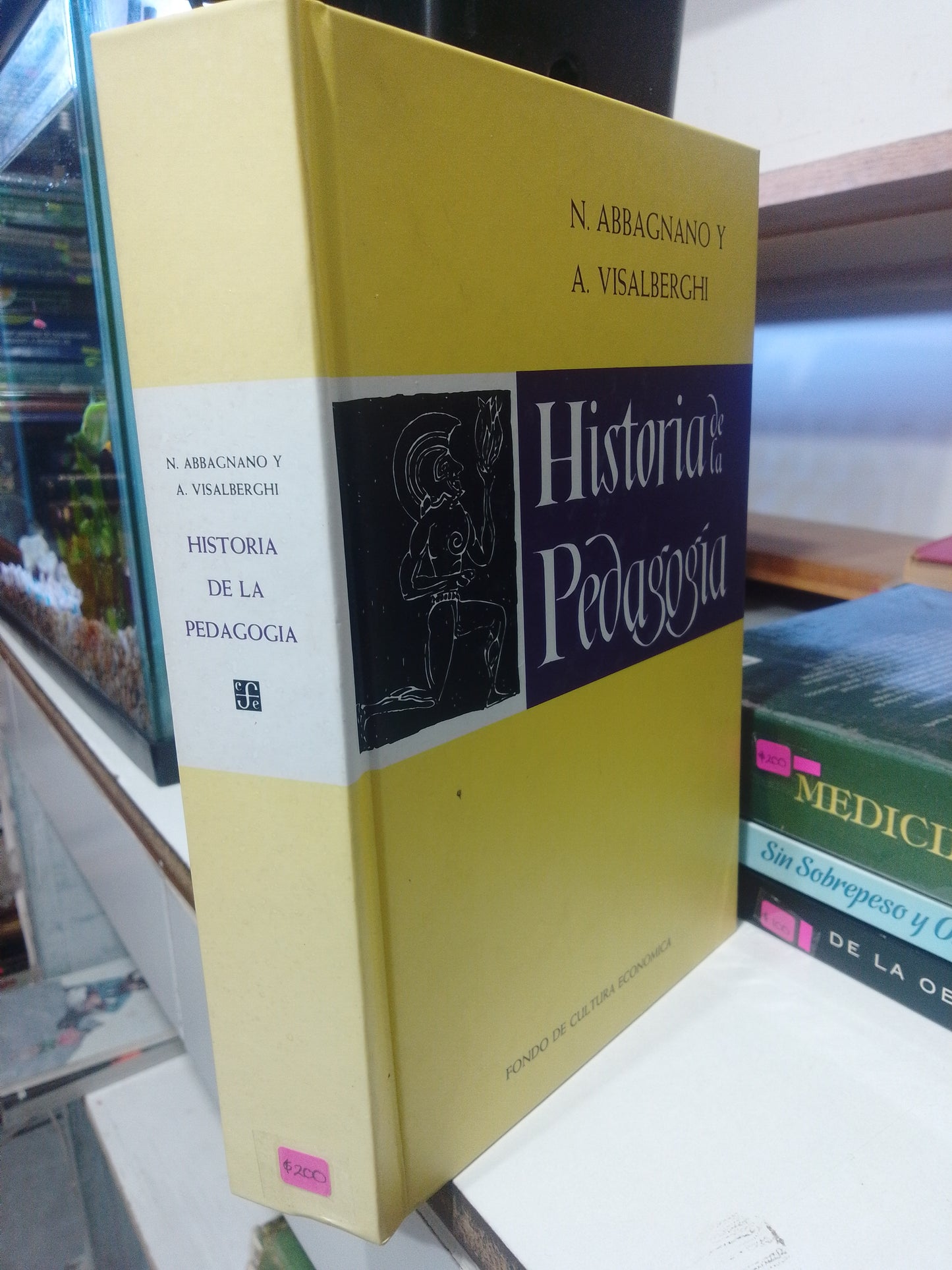 HISTORIA DE LA PEDAGOGIA POR A VISALBERGHI USADO HISTORIA JUAREZ