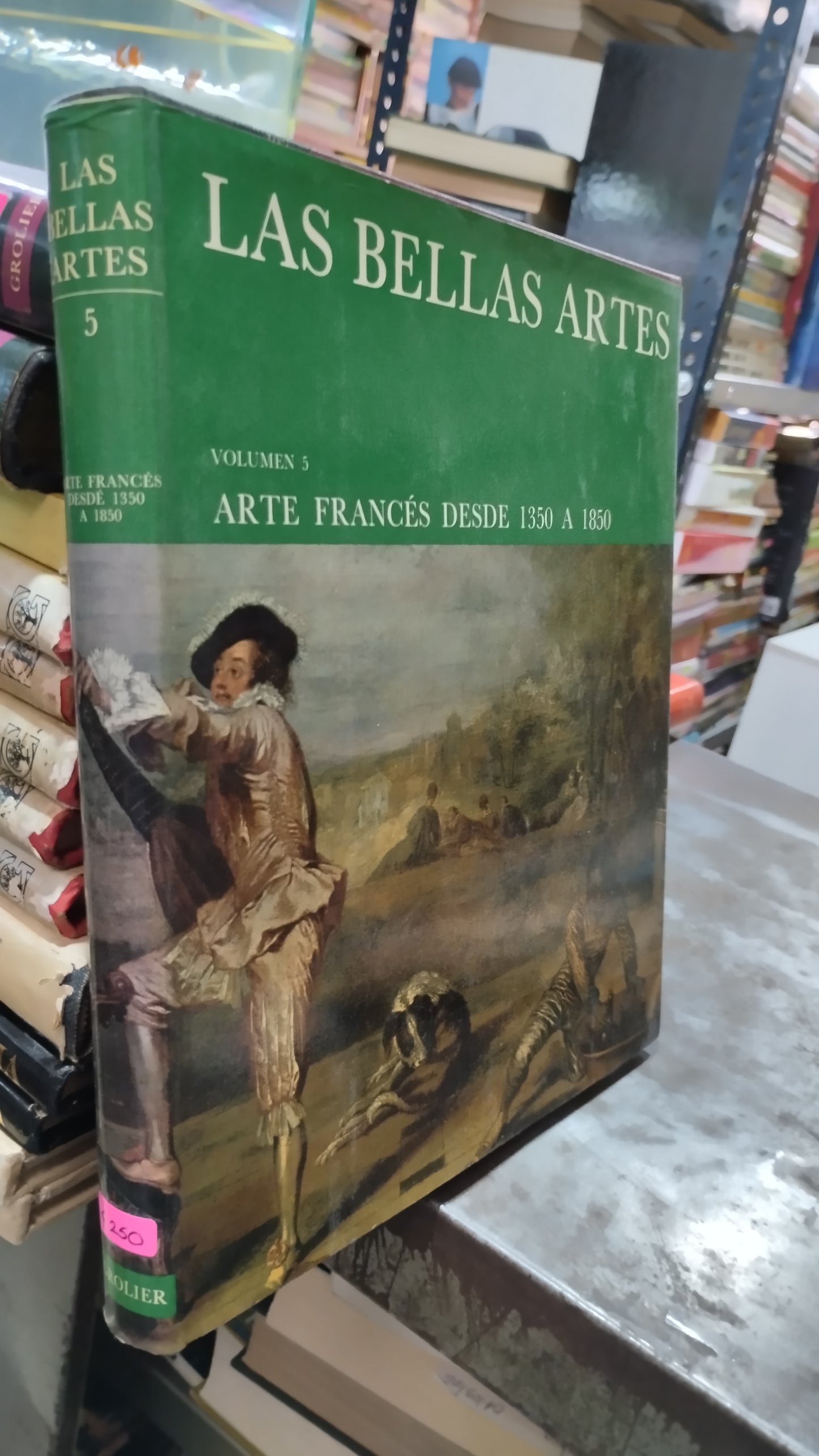 LAS BELLAS ARTES 5 LIBRO USADO ARTE ALDAMA