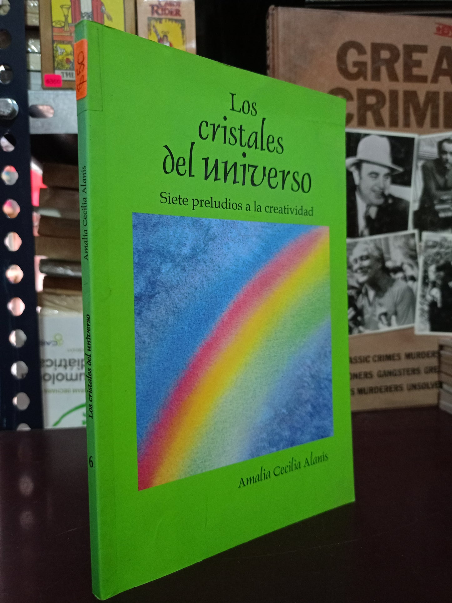 LOS CRISTALES DEL UNIVERSO SIETE PRELUDIOS A LA CREATIVIDAD POR AMALIA CECILIA ALANÍS USADO SUPERACIÓN PERSONAL LITERARIO 305